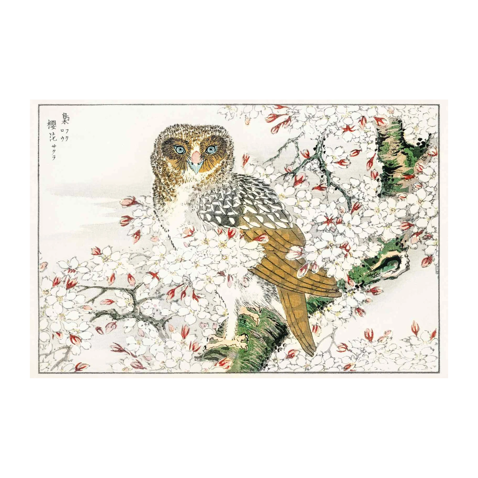 Wise Owl Cherry Blossom Wall Art Art
