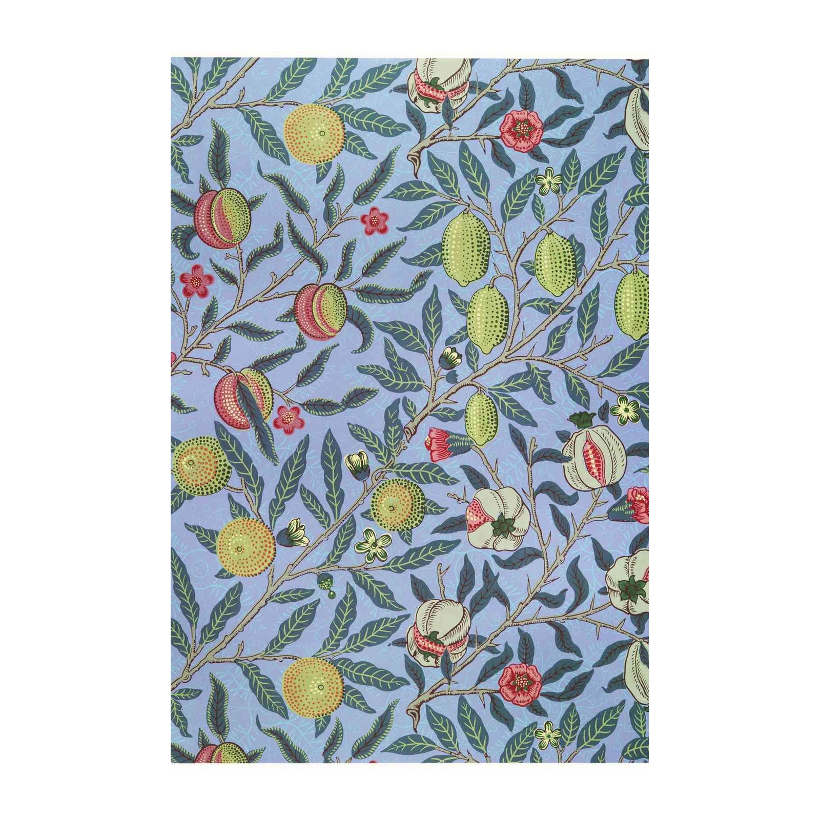 Vintage Fruit Blossom Wall Art