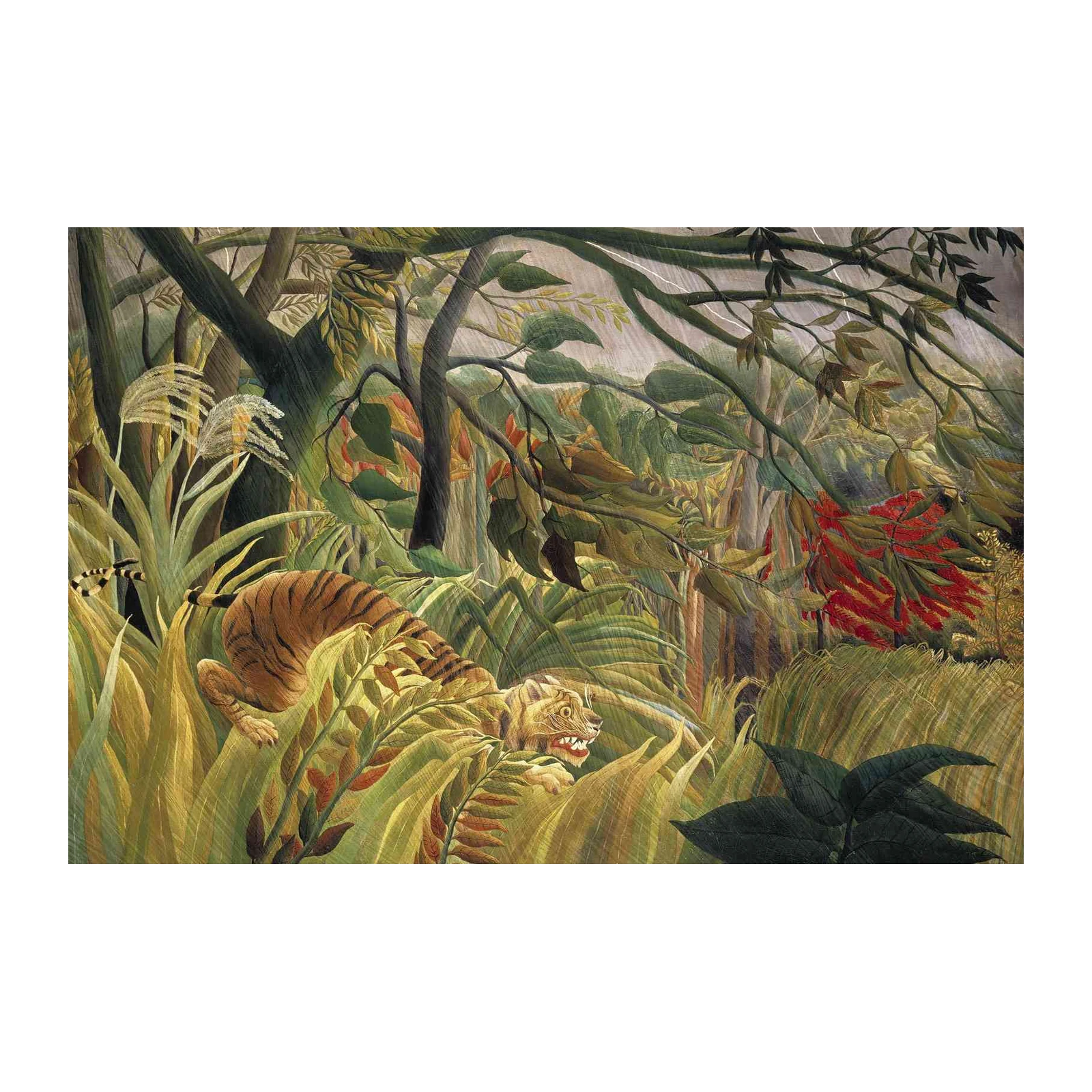 The Tiger in the Tropical Forest Wall Art