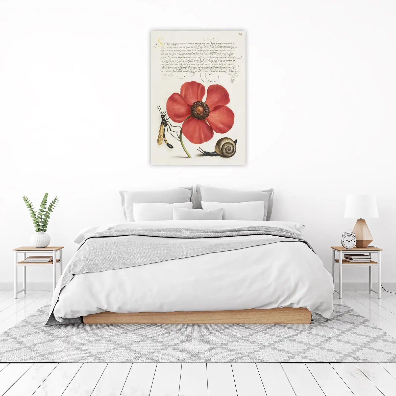 Vintage Botanical Red Poppy & Insect Wall Art