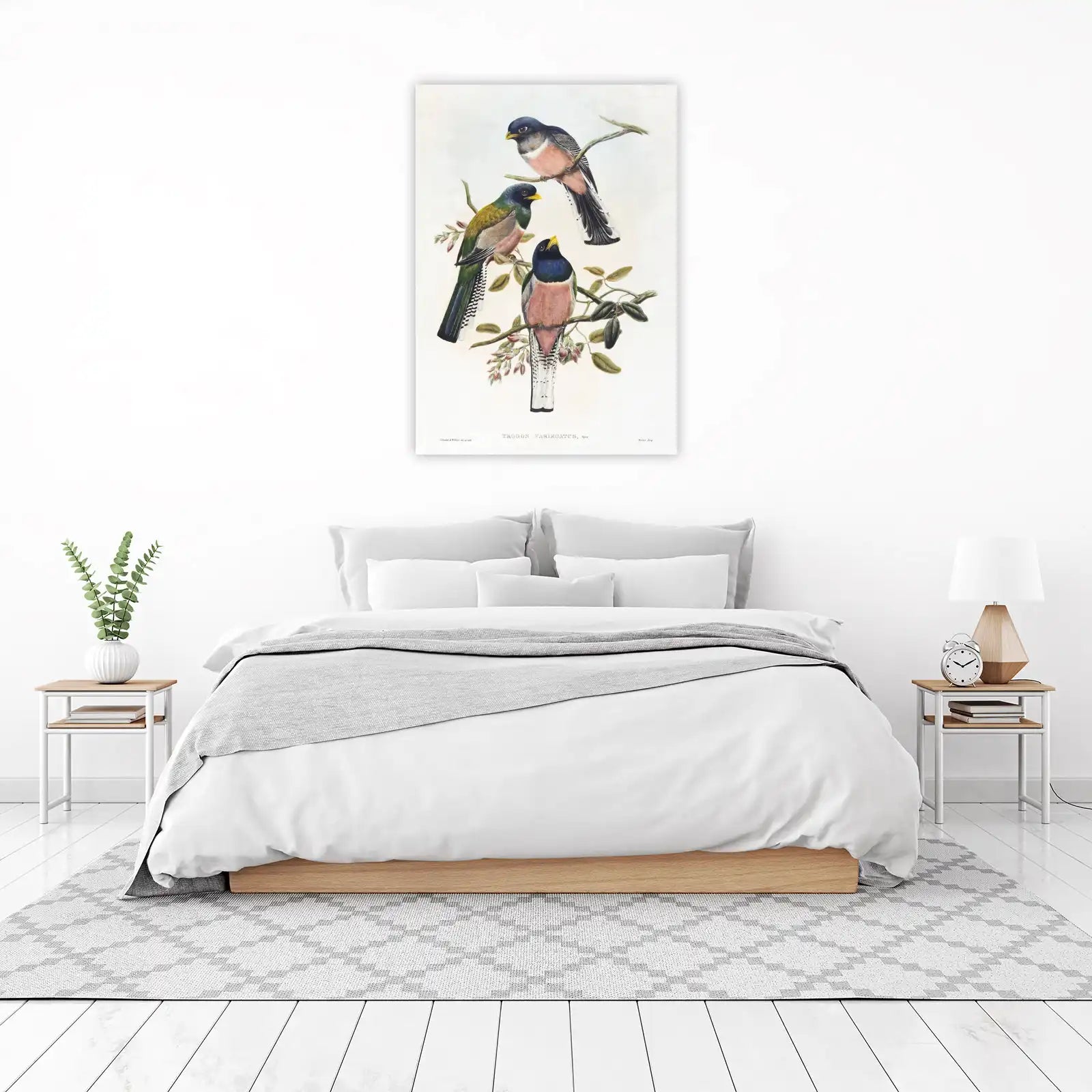 Vintage Bird Art 'Trogon Variegatus' Wall Art