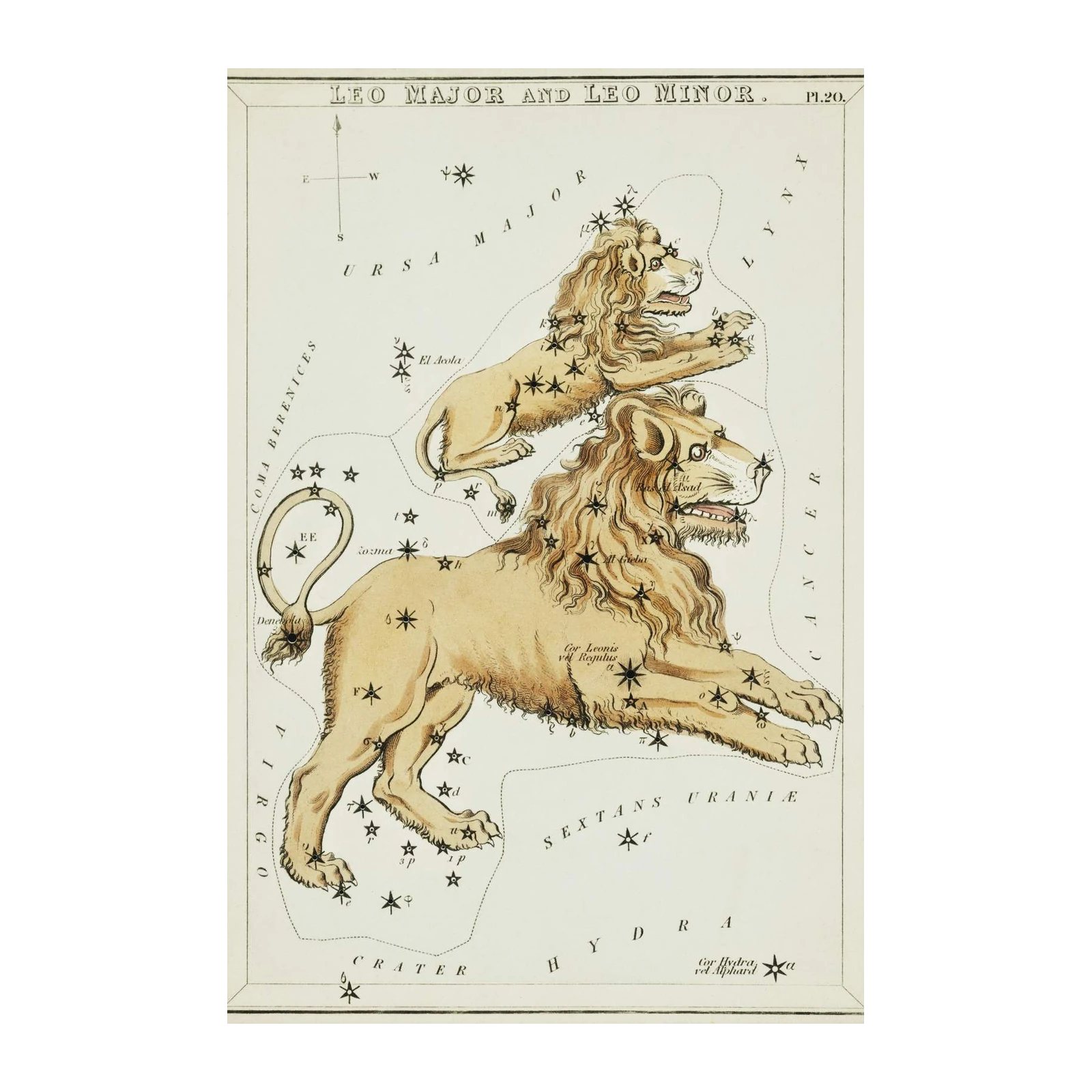 Vintage Leo Major & Minor Constellation Wall Art