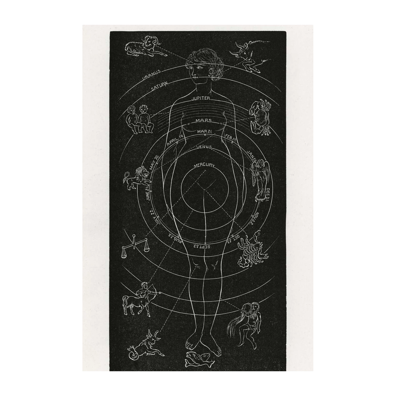 Vintage Astrology Zodiac Diagram Wall Art