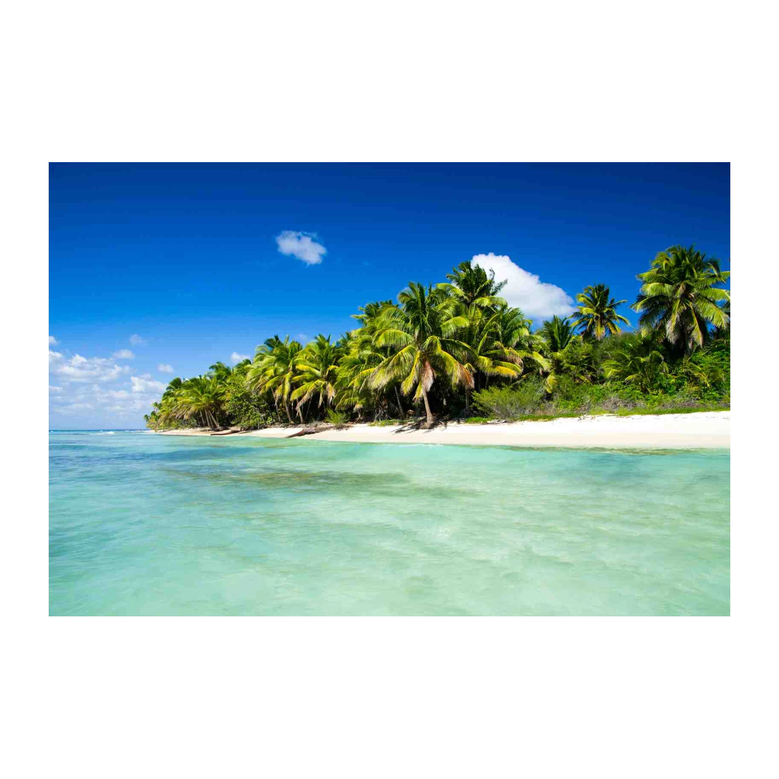 Tropical Paradise Palm Beach Wall Art