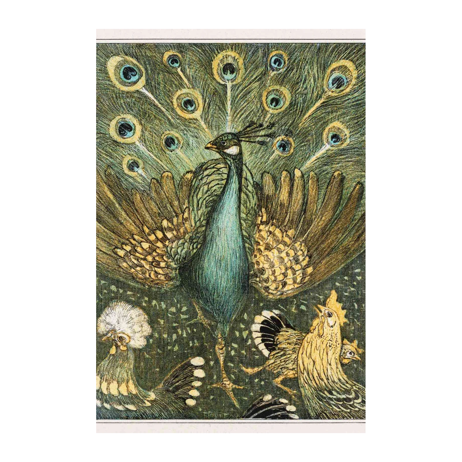 Majestic Peacock & Hens Vintage Art Wall Art
