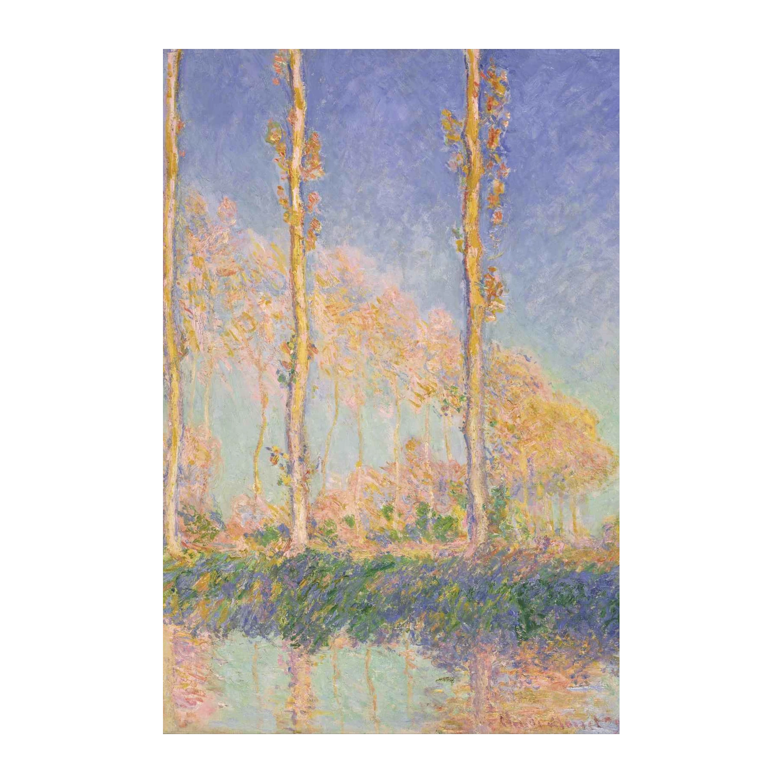 Impressionist Poplars & Reflections Wall Art