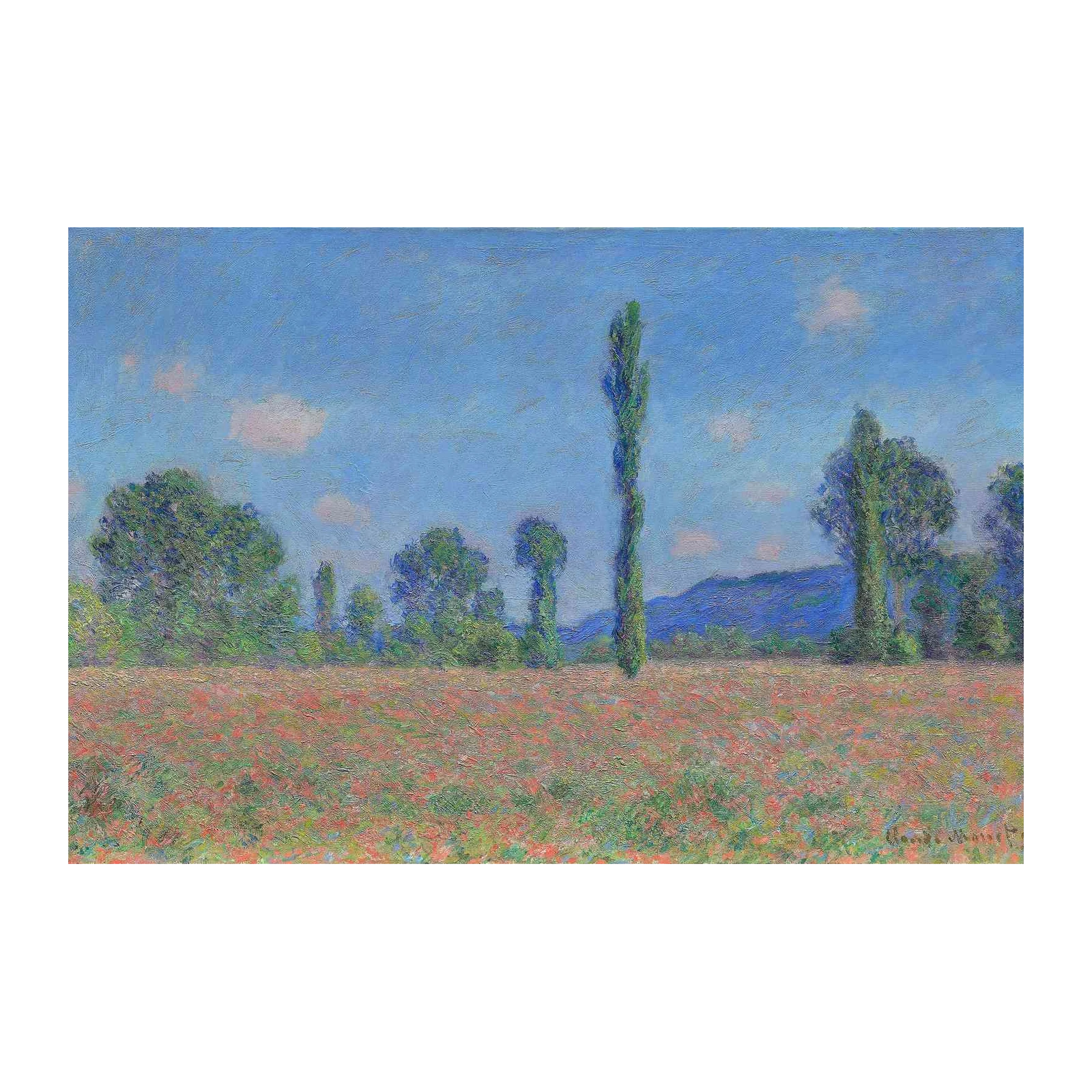 Impressionist Poppies Field Poplar Trees Wall Art