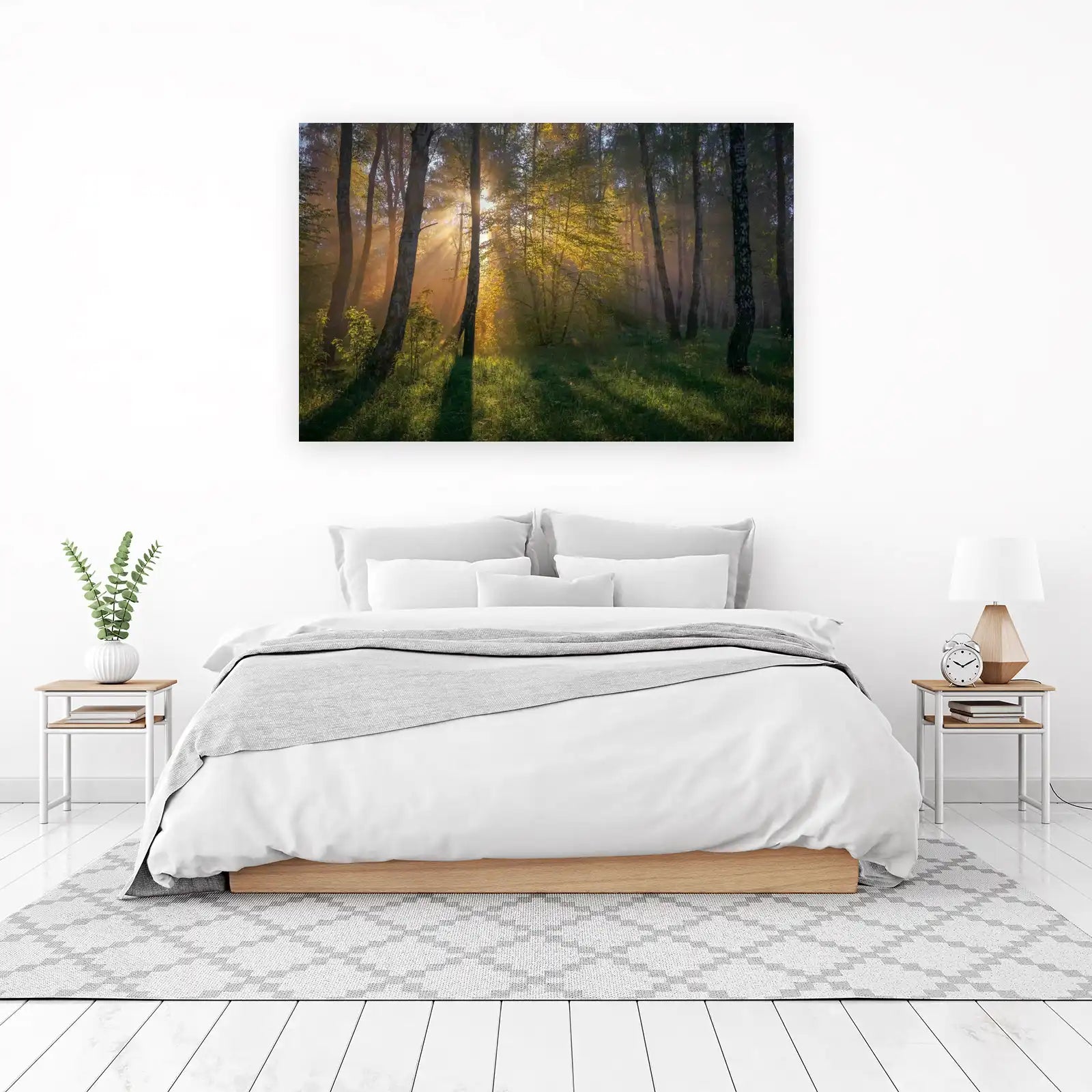 Enchanting Forest Rays Birch Tree Wall Art