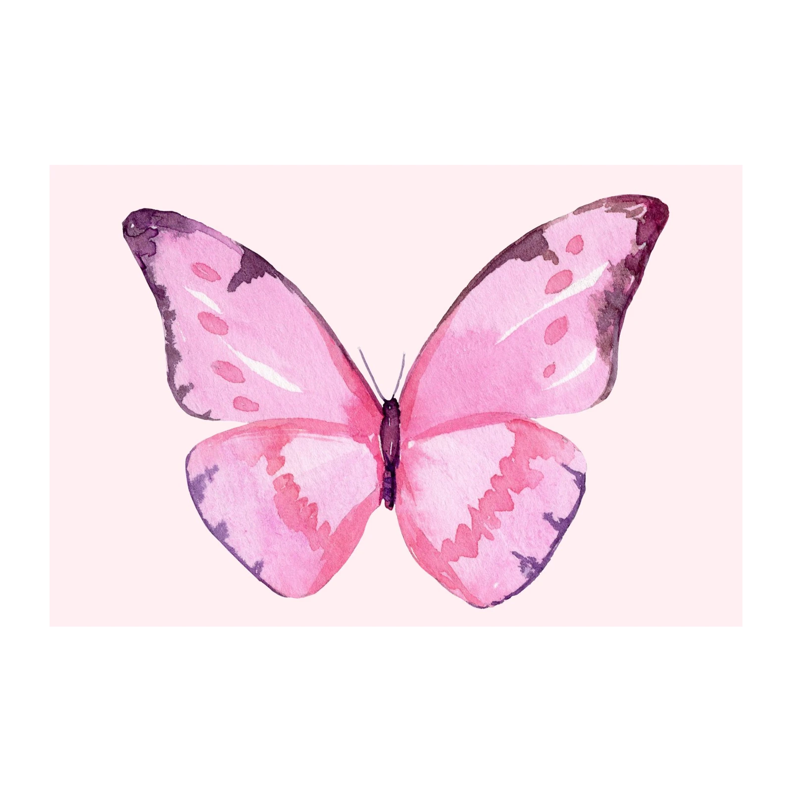 Delicate Pink Watercolor Butterfly Wall Art
