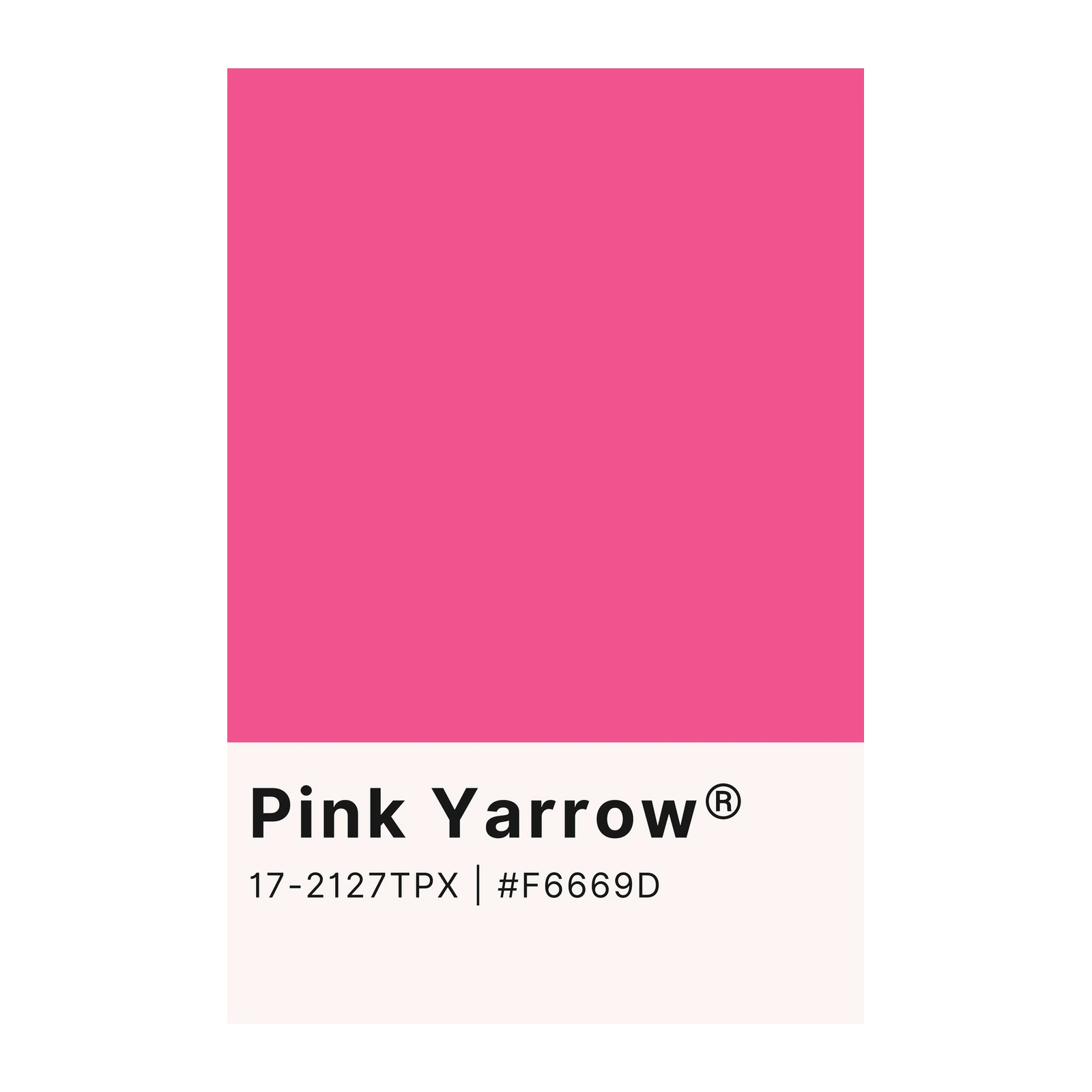 Vibrant Pink Yarrow Wall Art Wall Art