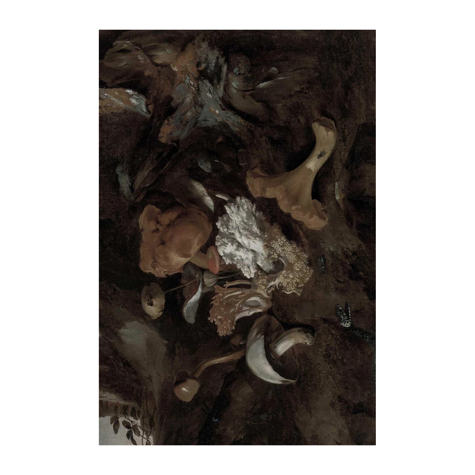 Vintage Mushroom Still Life Wall Art