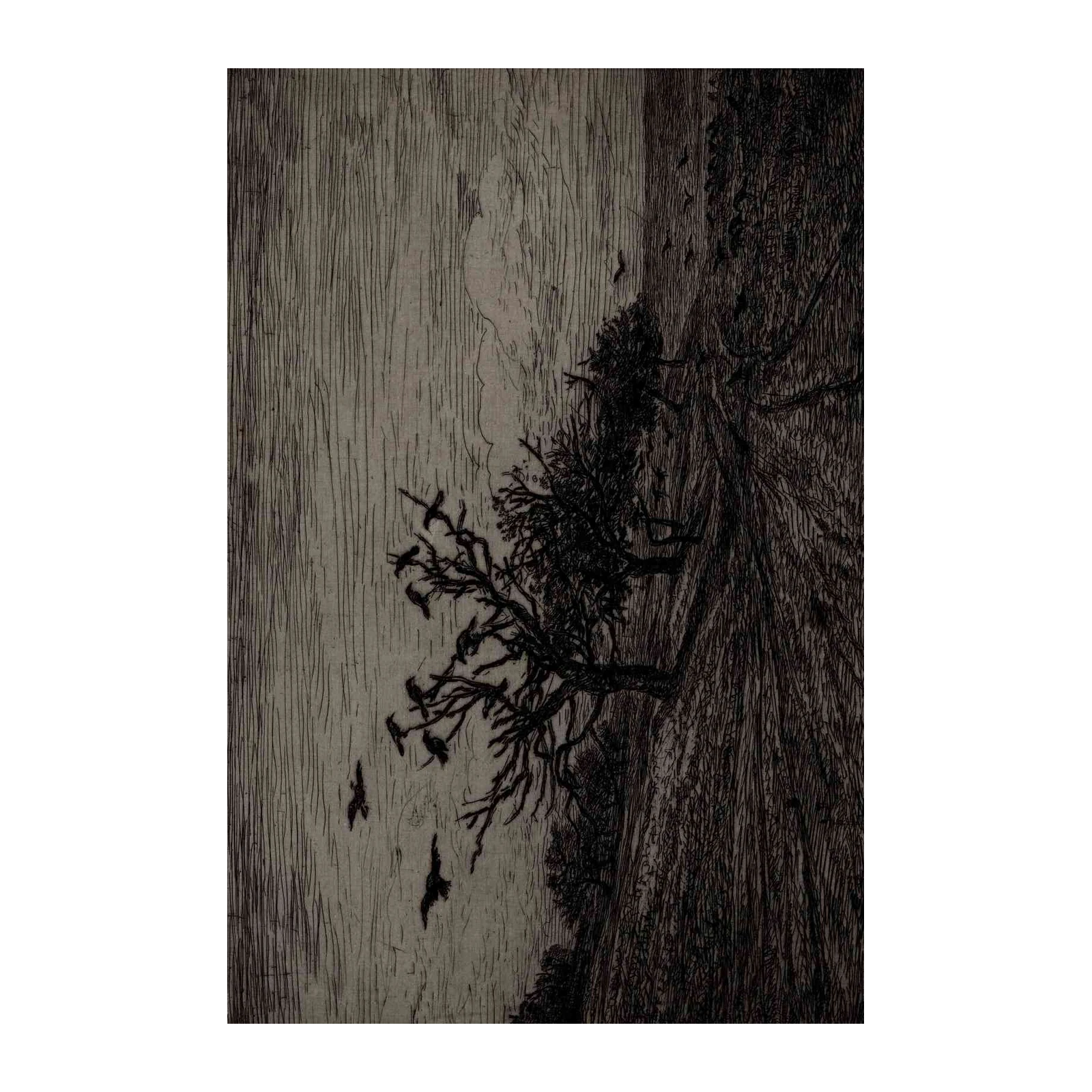 Moody Crow Tree & Forest Wall Art