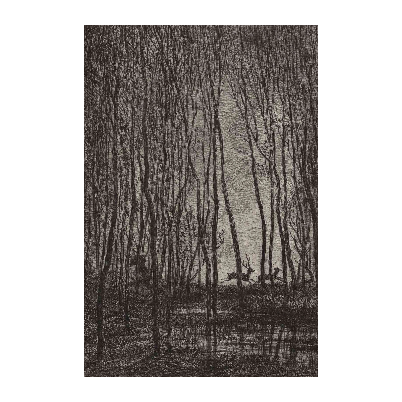 Mysterious Forest Deer Wall Art Wall Art