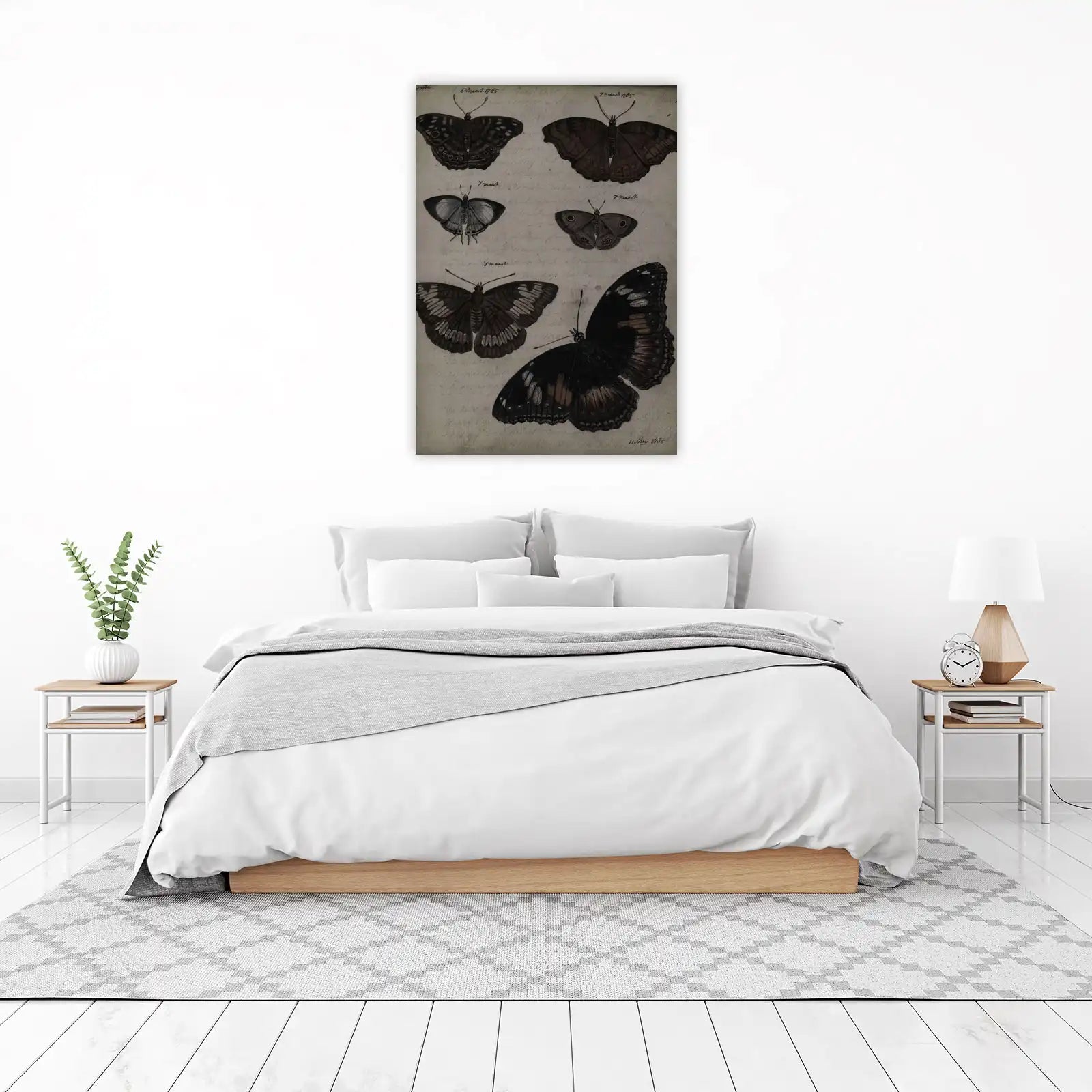 Vintage Butterfly Study Wall Art
