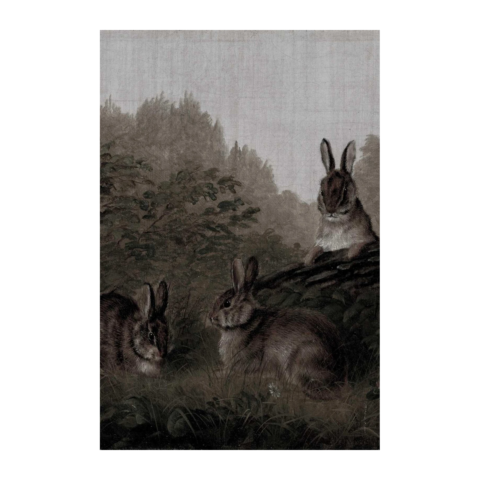 Enchanting Rabbit Woodland Scene Wall Art