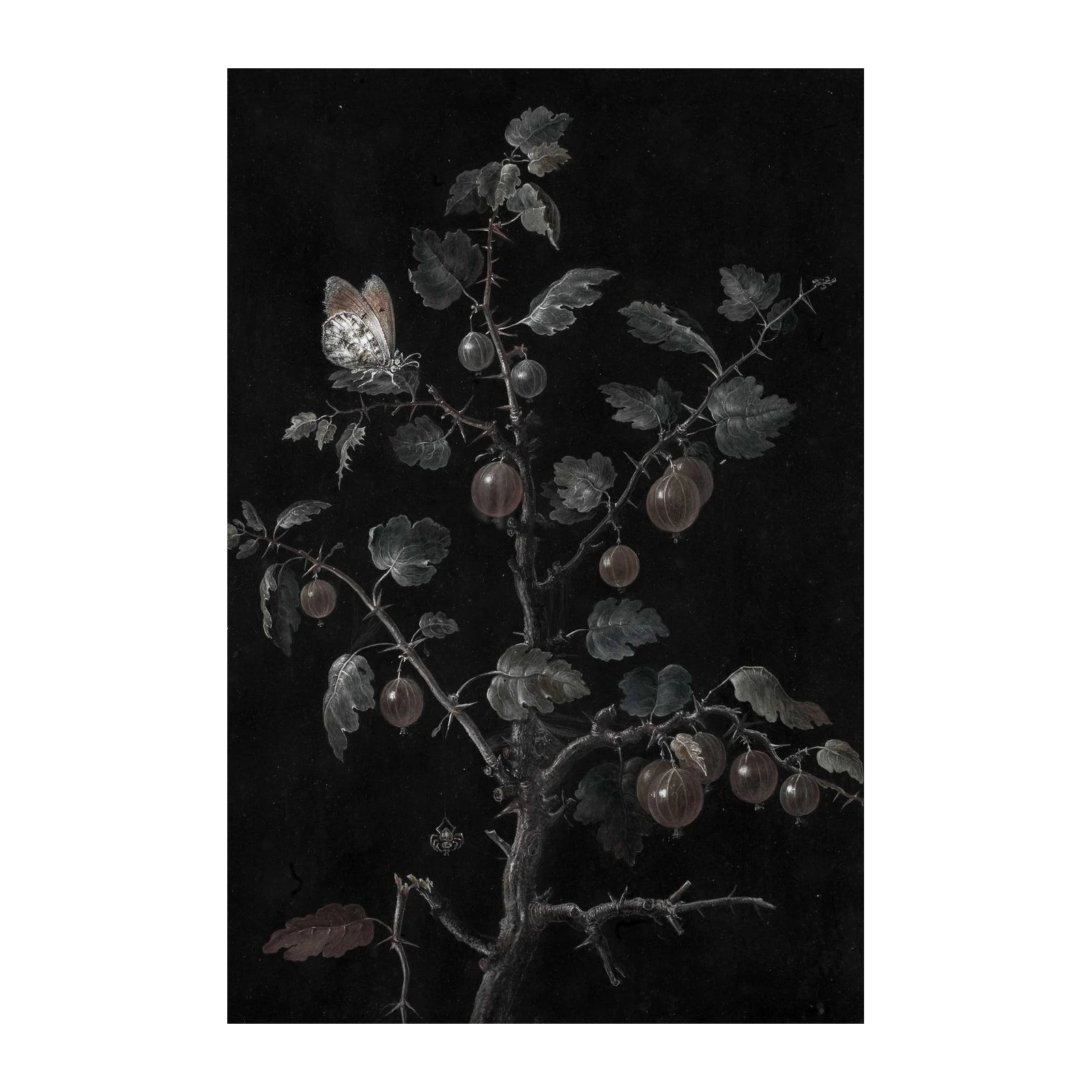 Vintage Butterfly & Gooseberry Botanical Wall Art