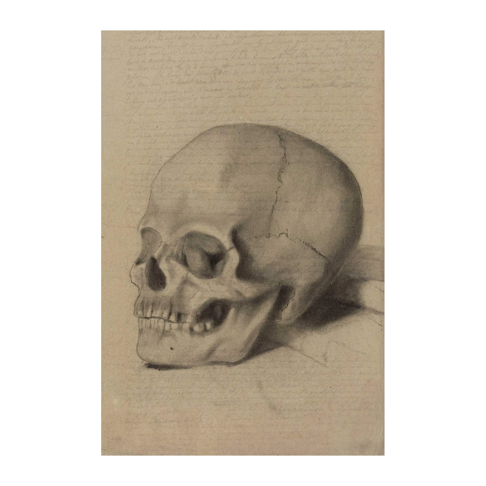 Vintage Skull Graphite Sketch Wall Art