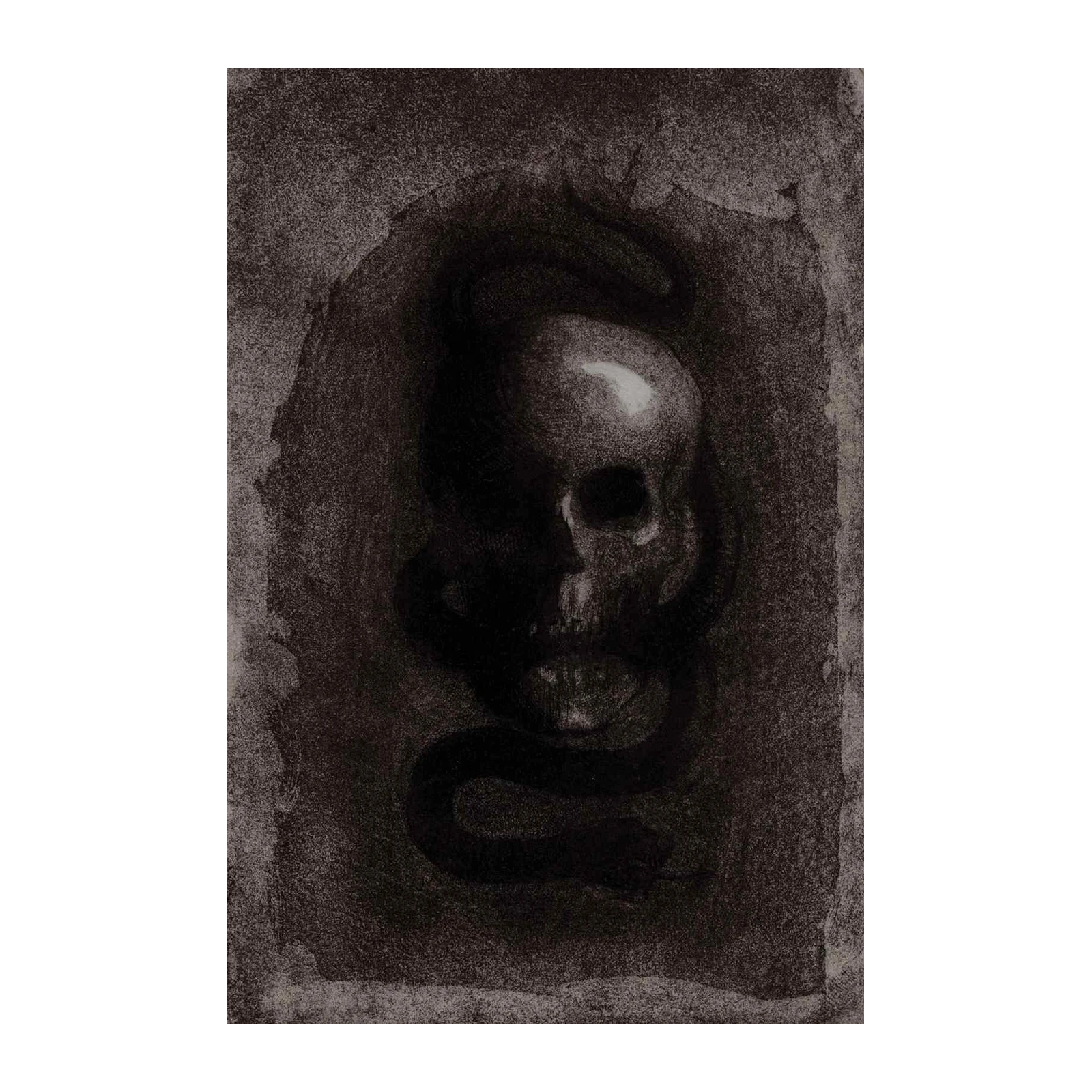 Mystic Skull & Serpent Dark Art Wall Art