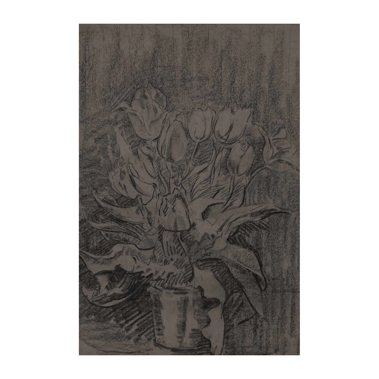 Vintage Tulip Sketch Botanical Wall Art
