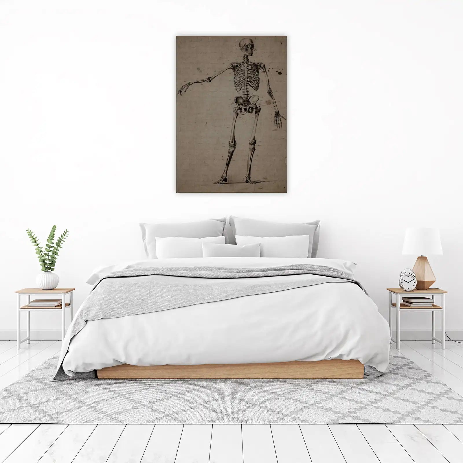 Vintage Anatomical Skeleton Wall Art