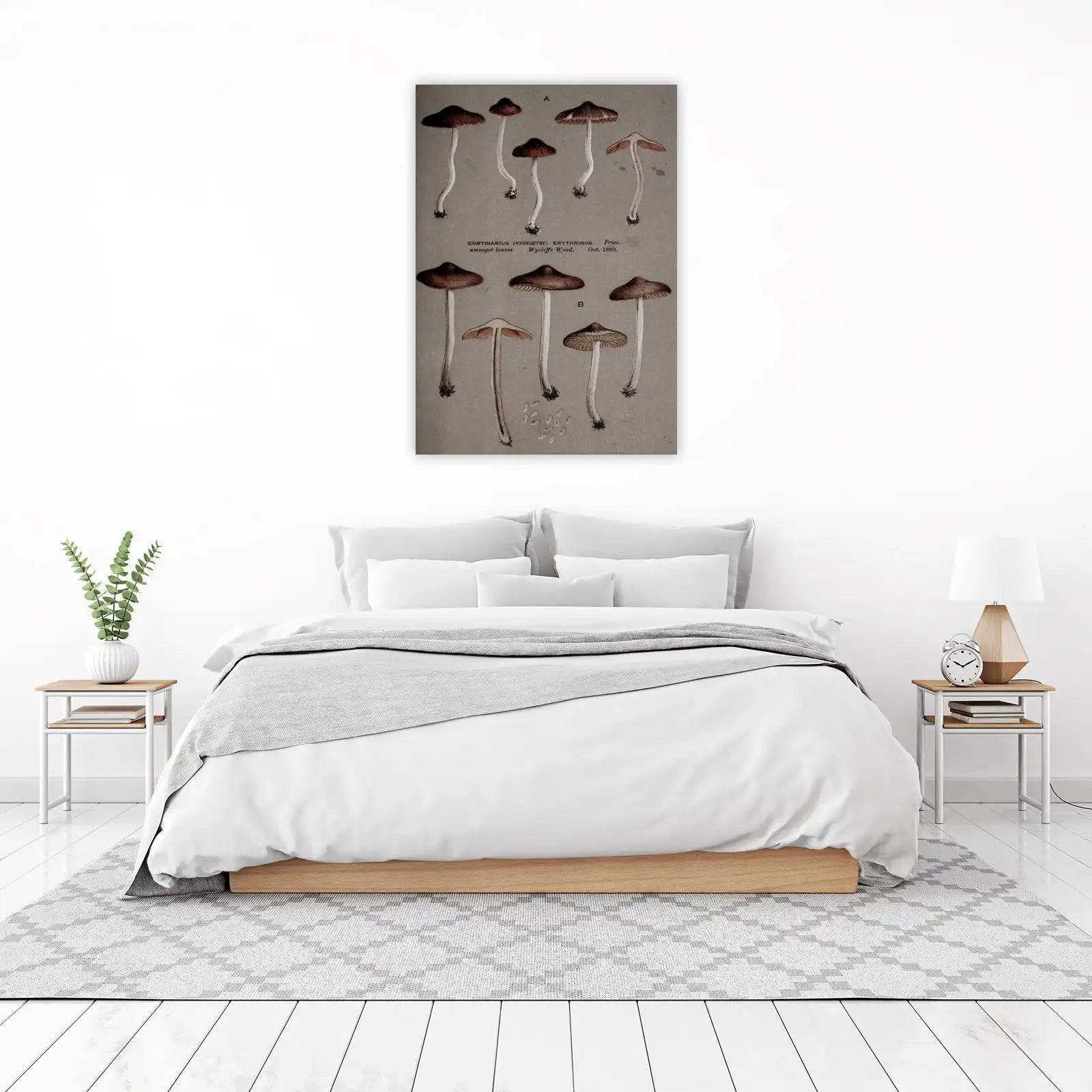 Vintage Mushroom Art Print Wall Art