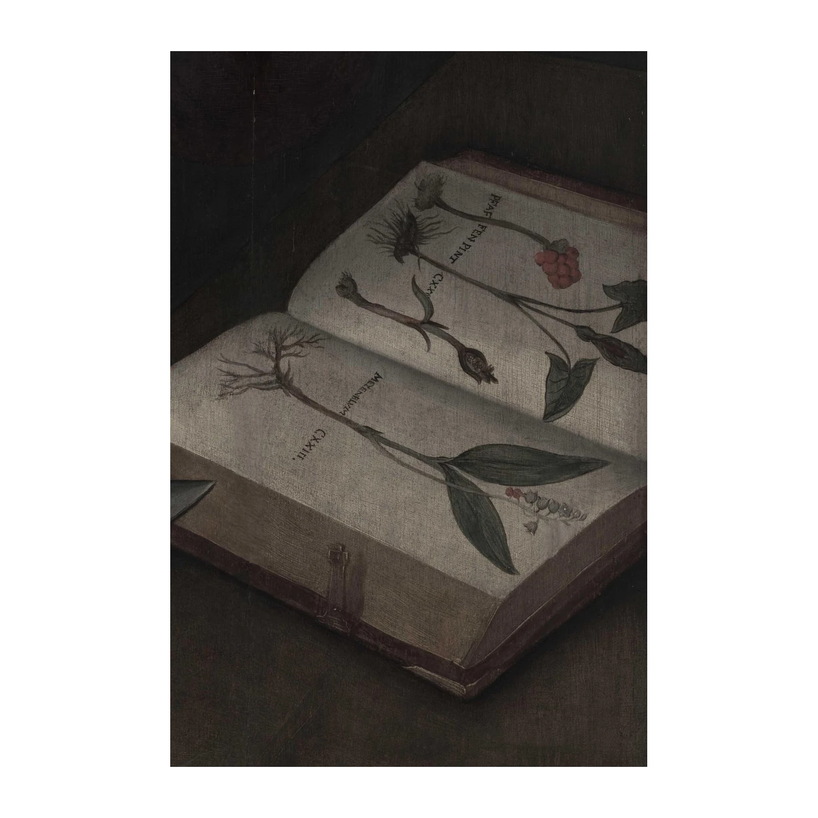 Vintage Botanical Study Open Book Wall Art