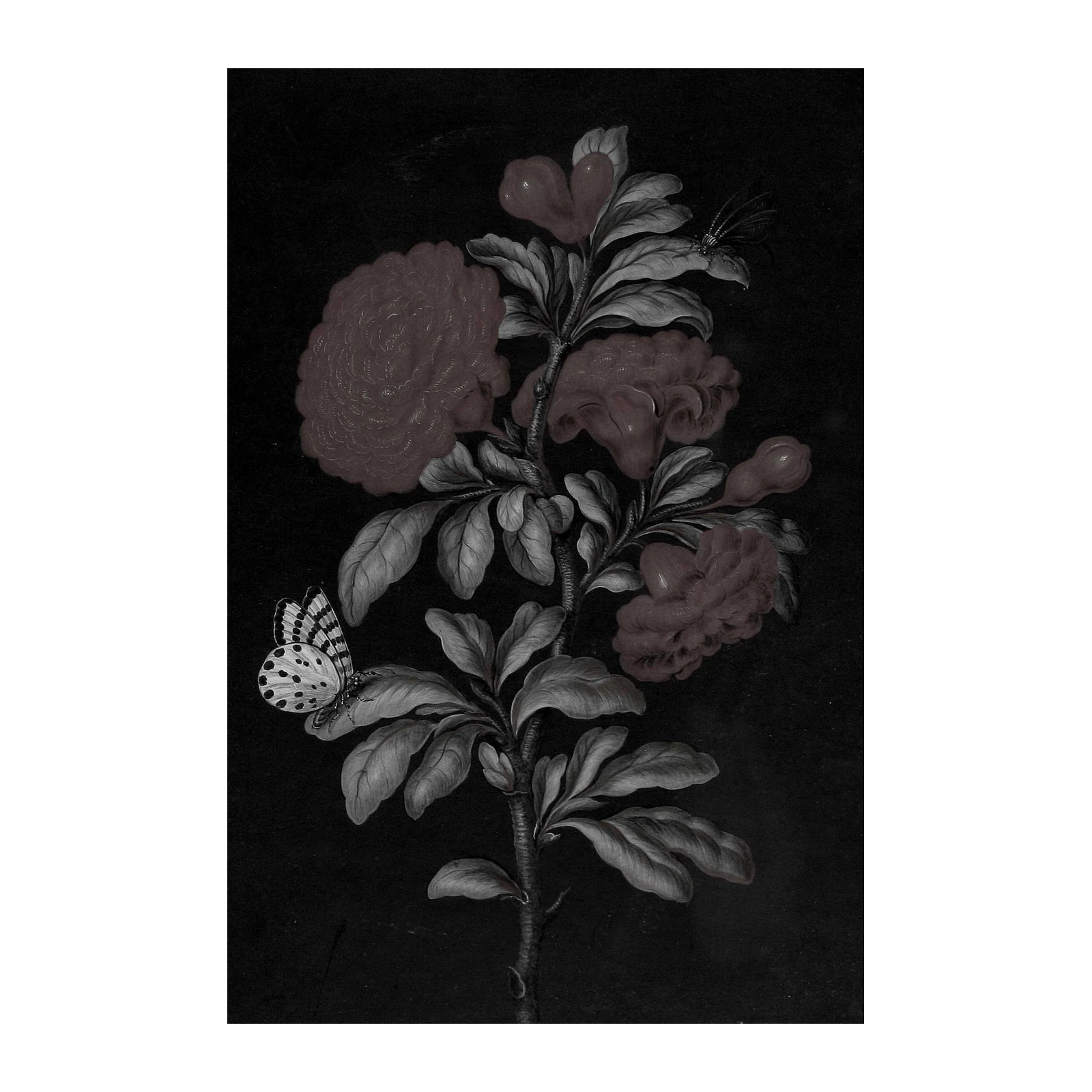 Gothic Floral Butterfly Botanical Wall Art