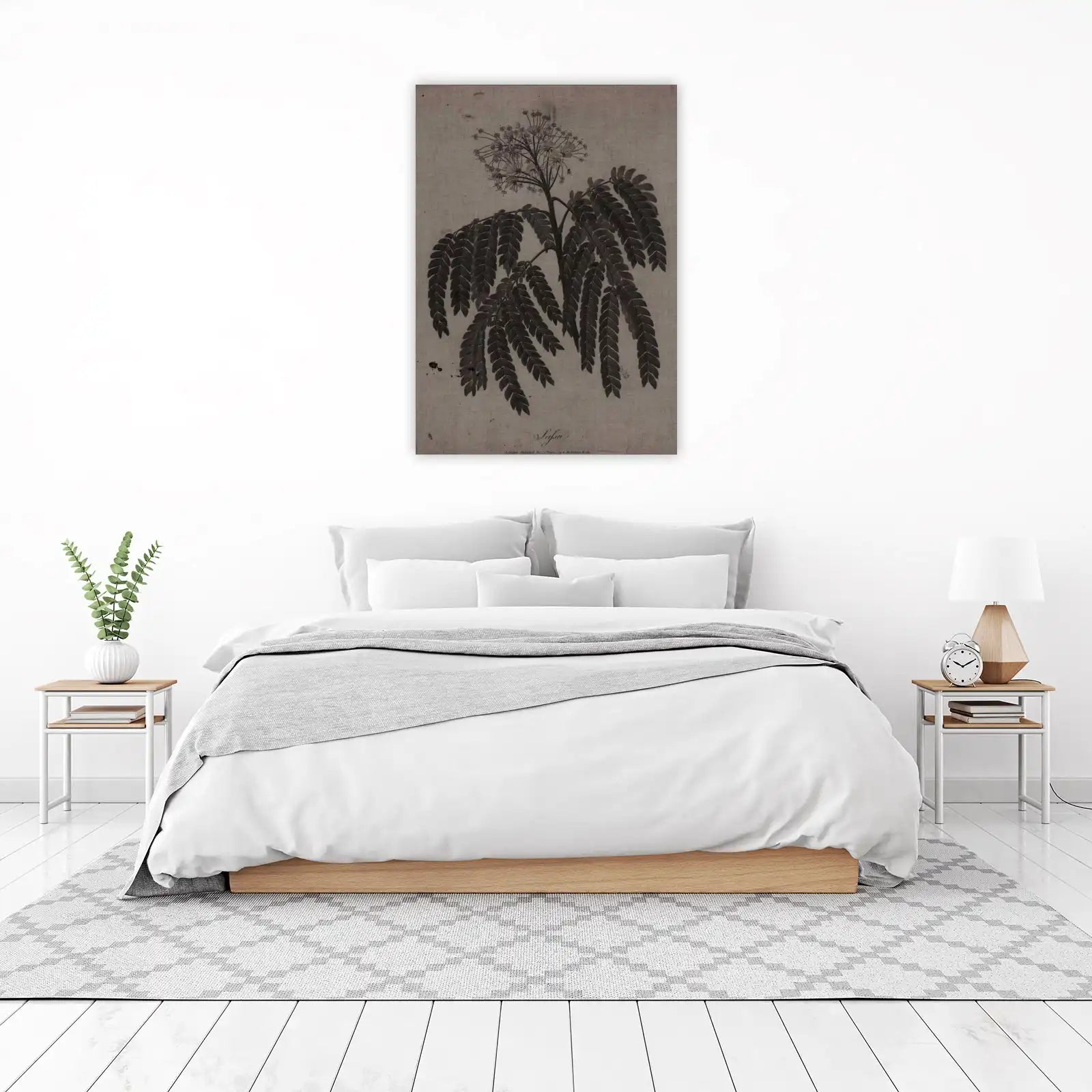 Botanical Mimosa Tree Leaf Illustration Wall Art