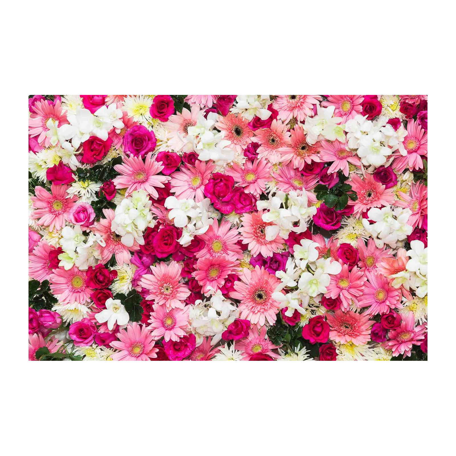 Vibrant Pink Floral Symphony Wall Art