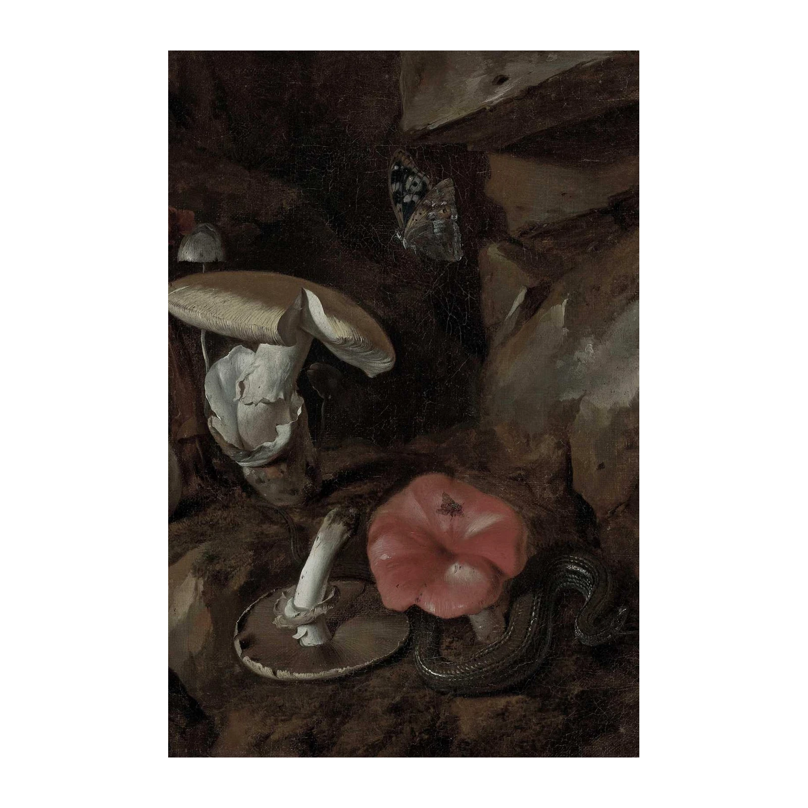 Mysterious Butterfly & Mushroom Still Life Wall Art