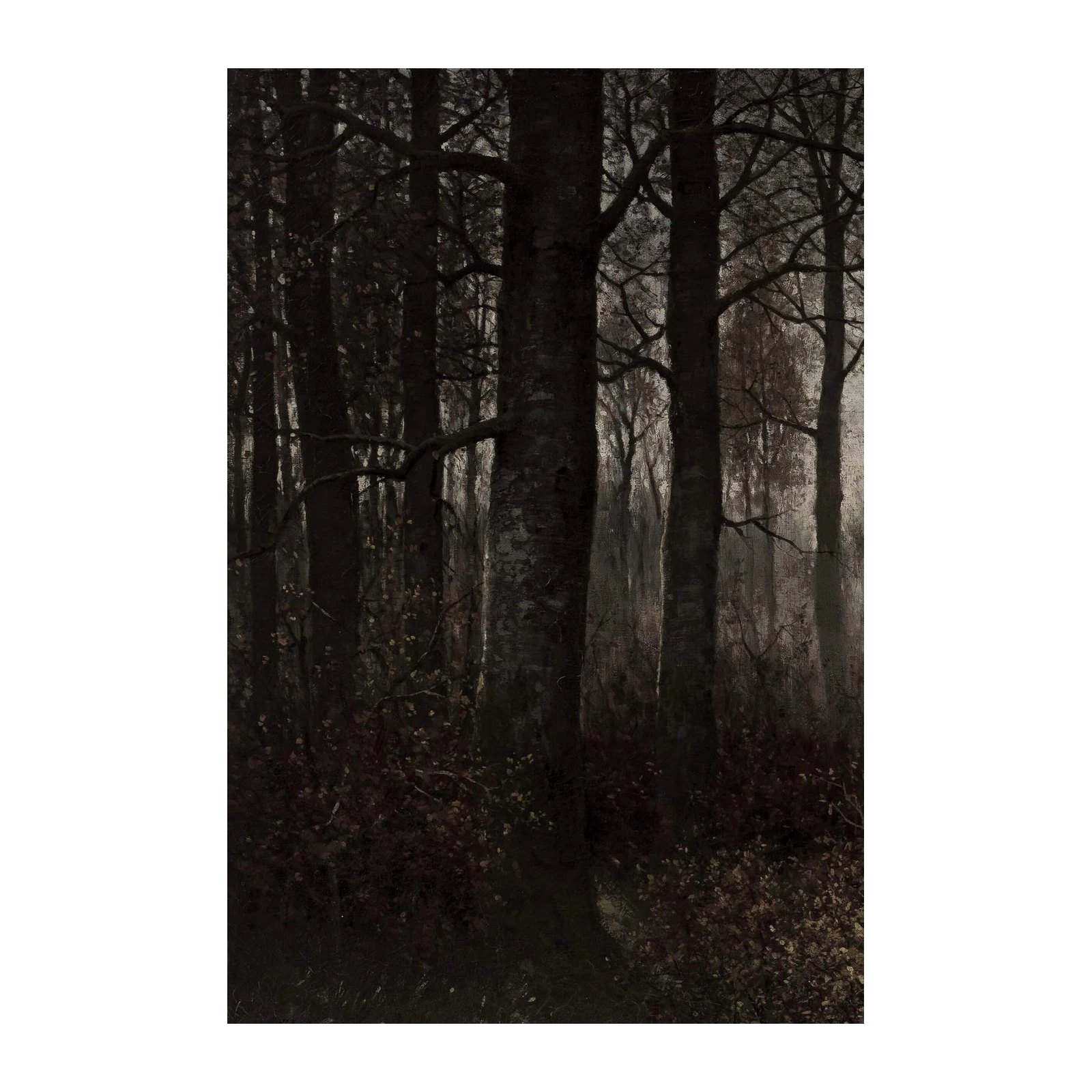 Mysterious Forest Landscape Wall Art