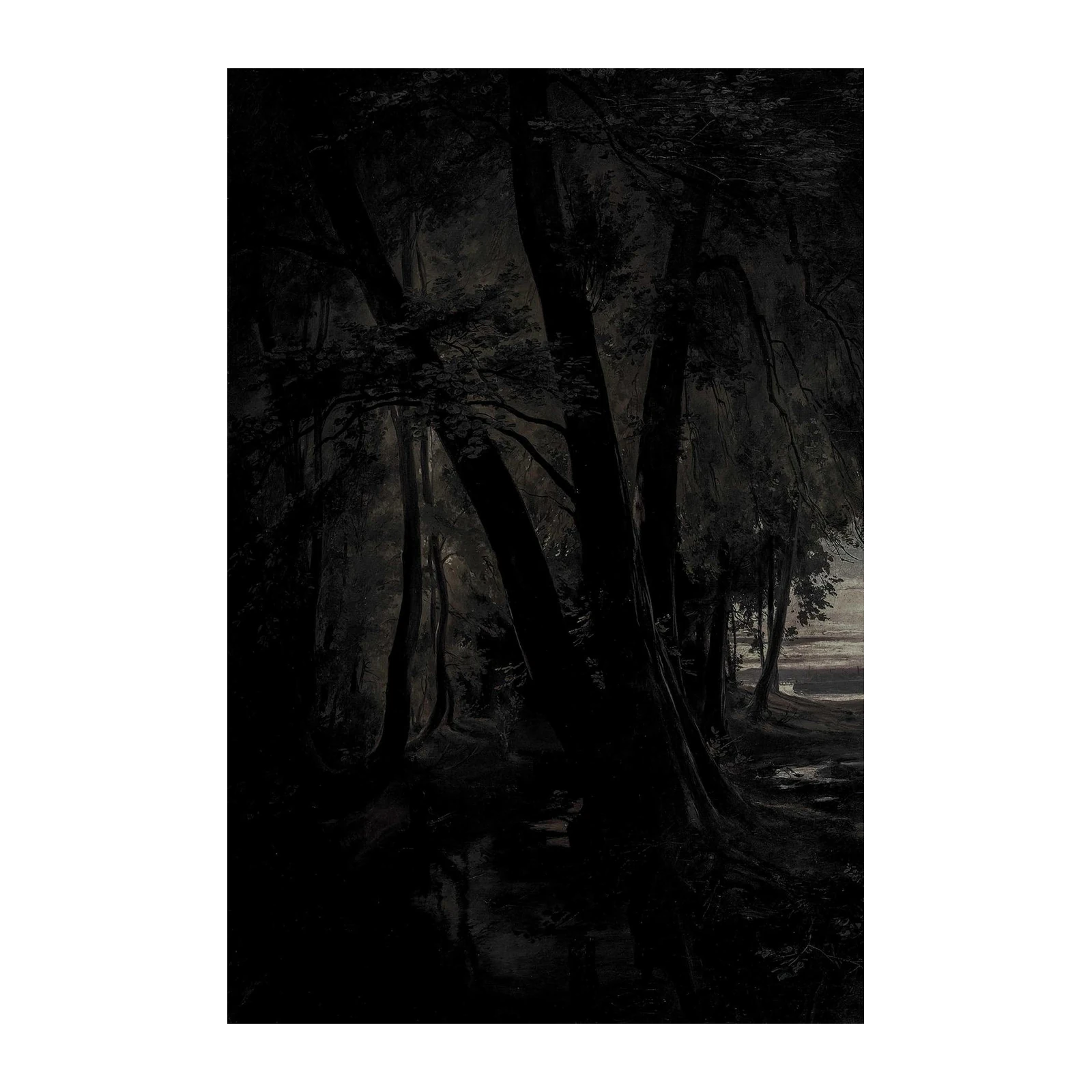 Enigmatic Dark Forest Path Wall Art