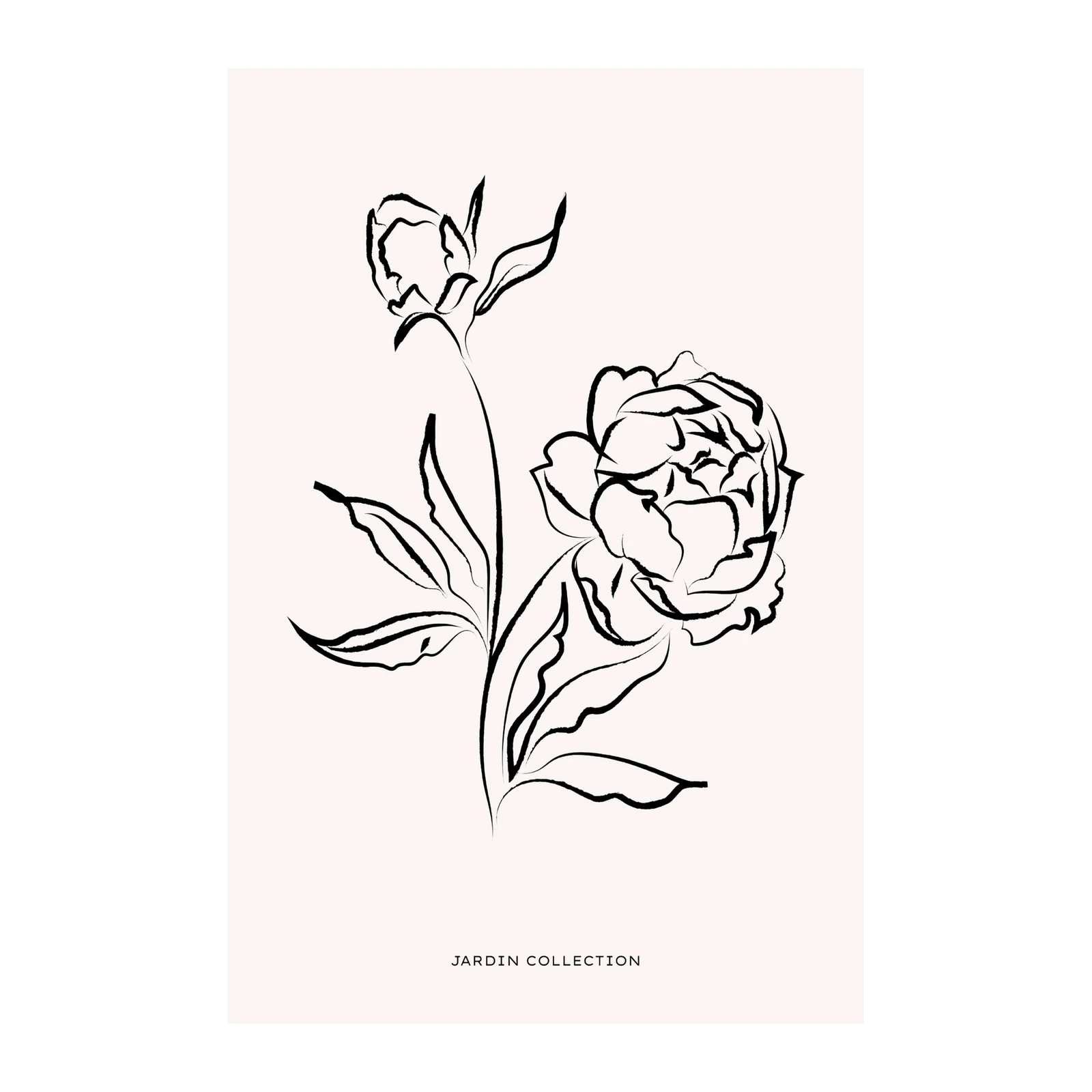 Minimalist Peony Botanical Line Art Wall Art