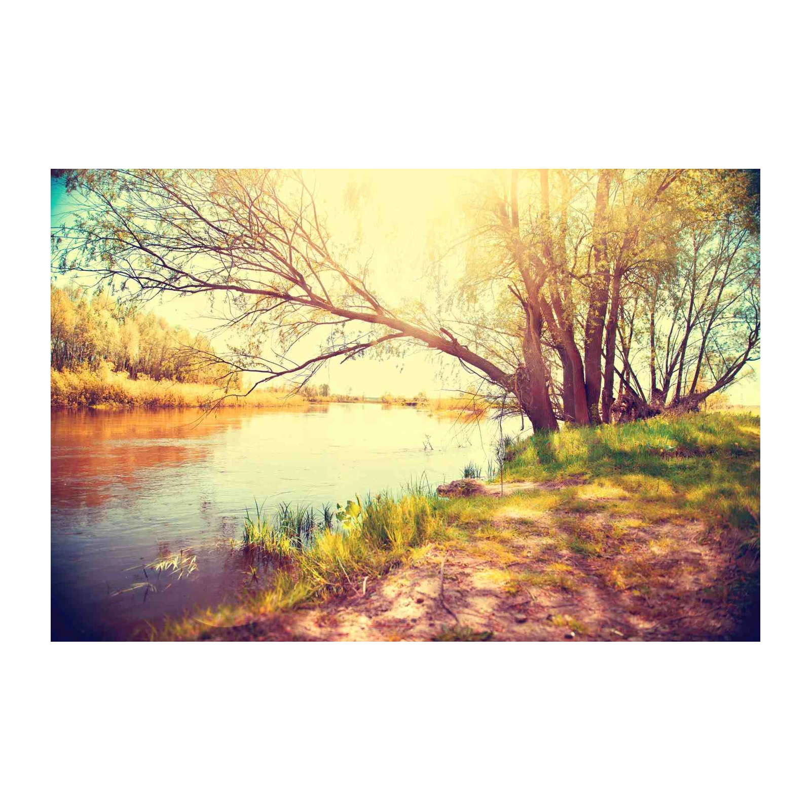 Serene Riverbank Landscape Wall Art