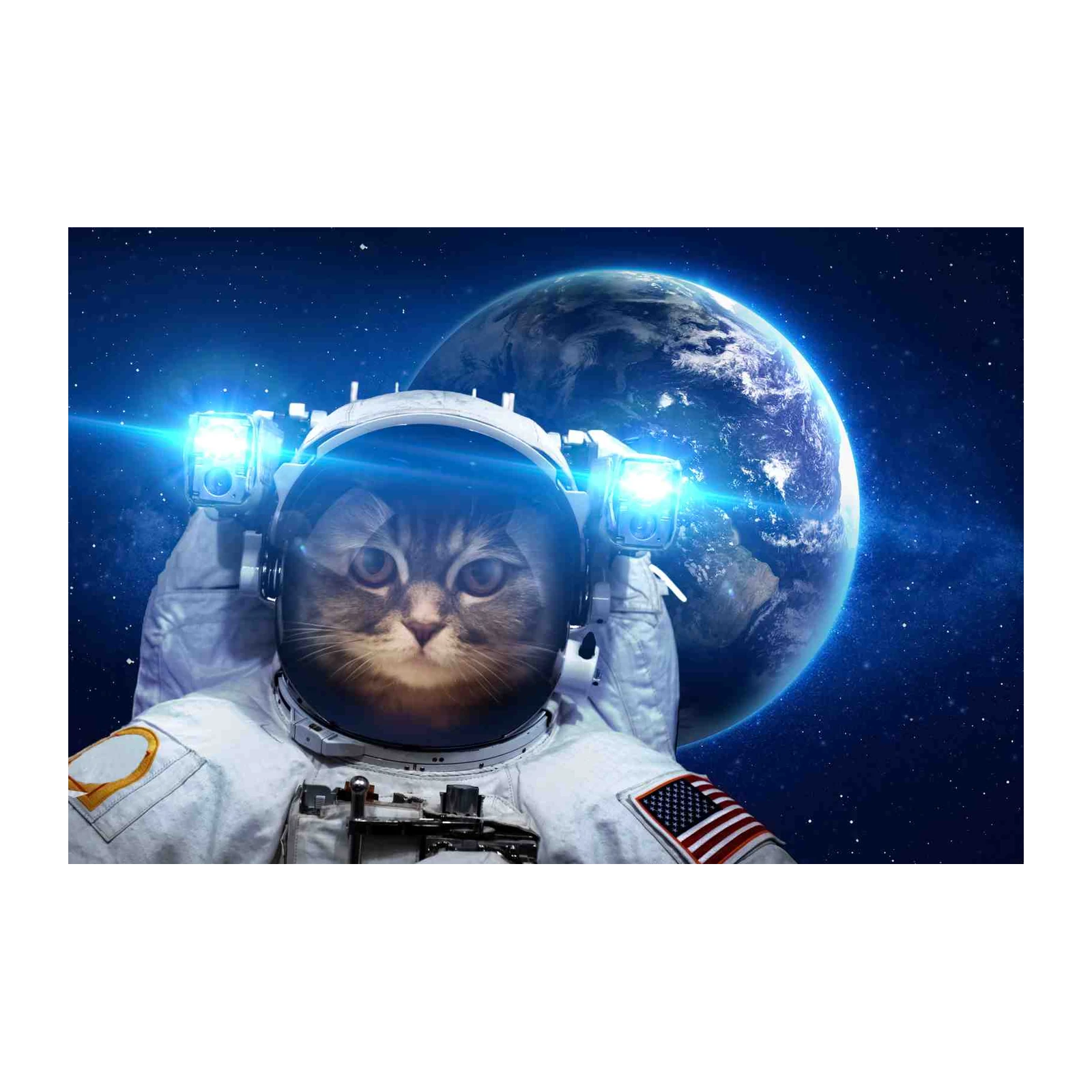 Astronaut Cat Space Adventure Wall Art
