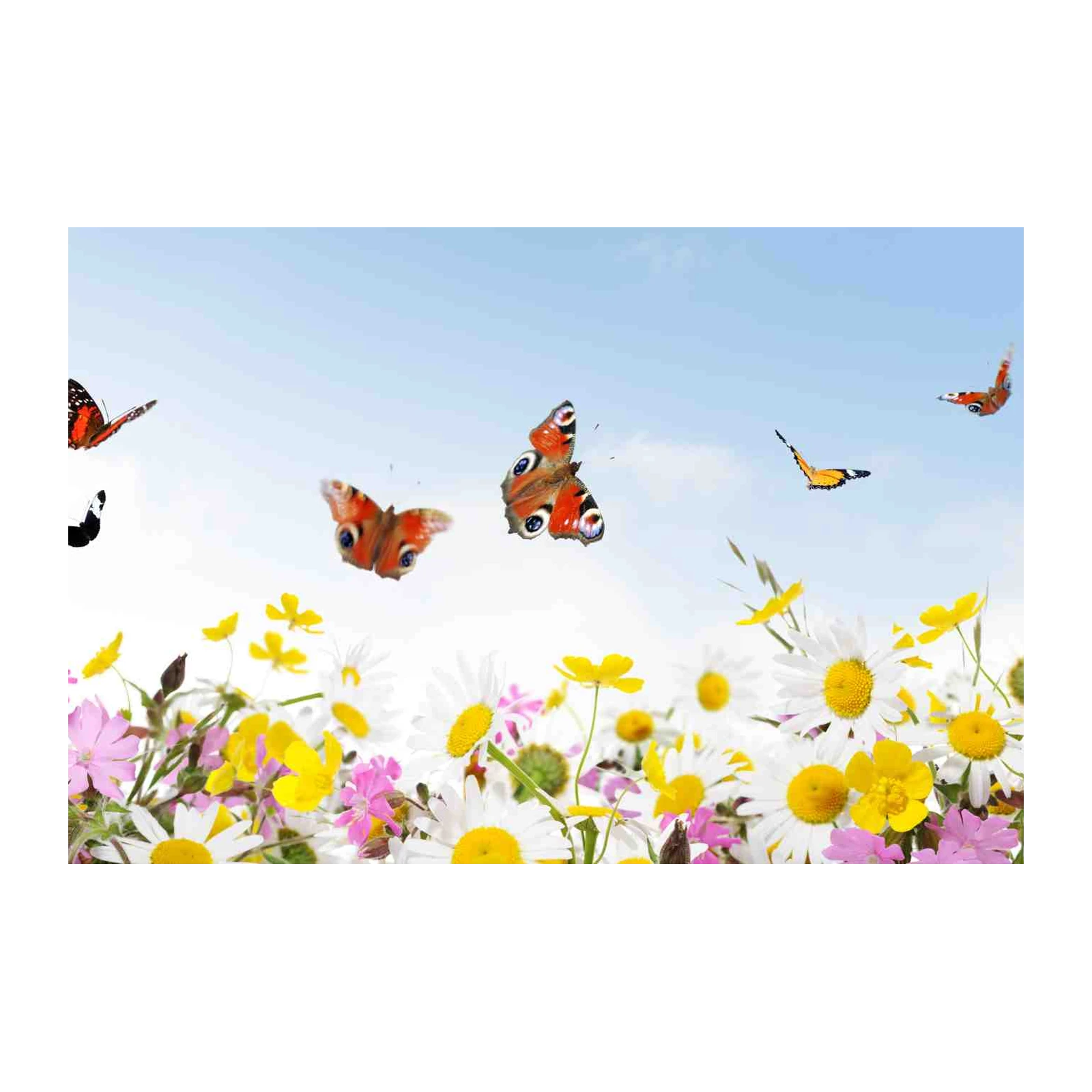 Butterfly Meadow Bliss Nature Wall Art