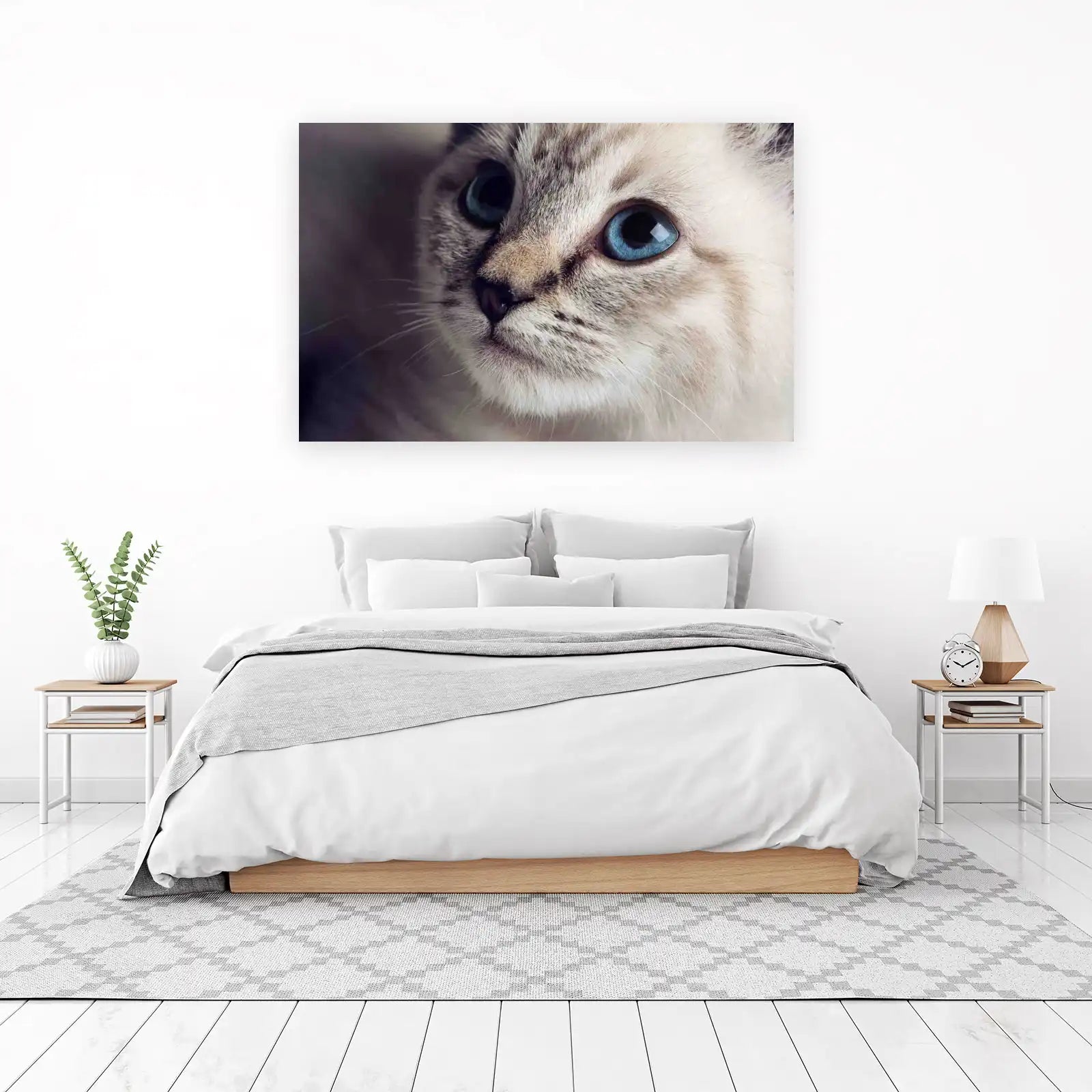 Captivating Blue Eyed Siamese Cat Wall Art