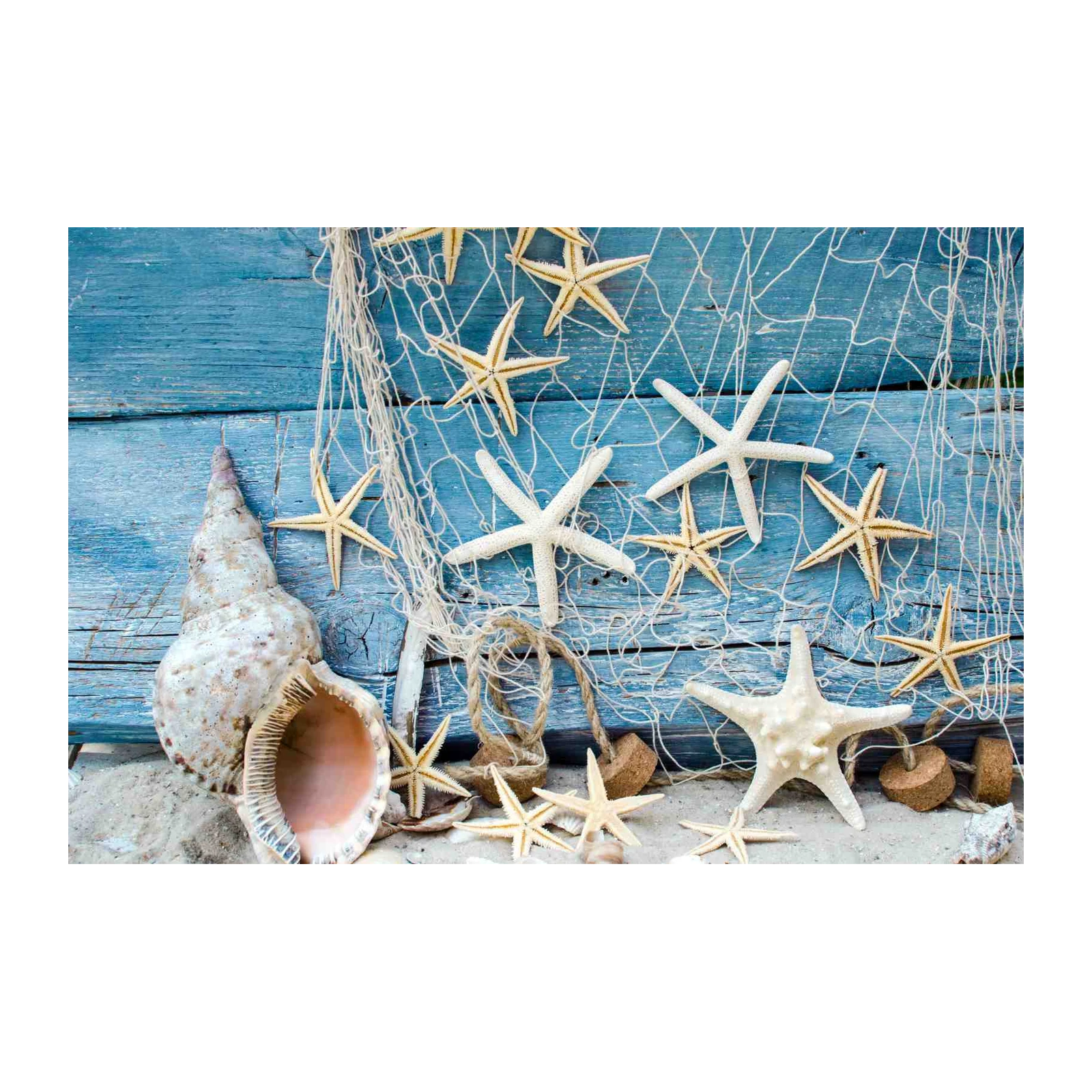 Coastal Starfish & Shells Beach Scene Wall Art
