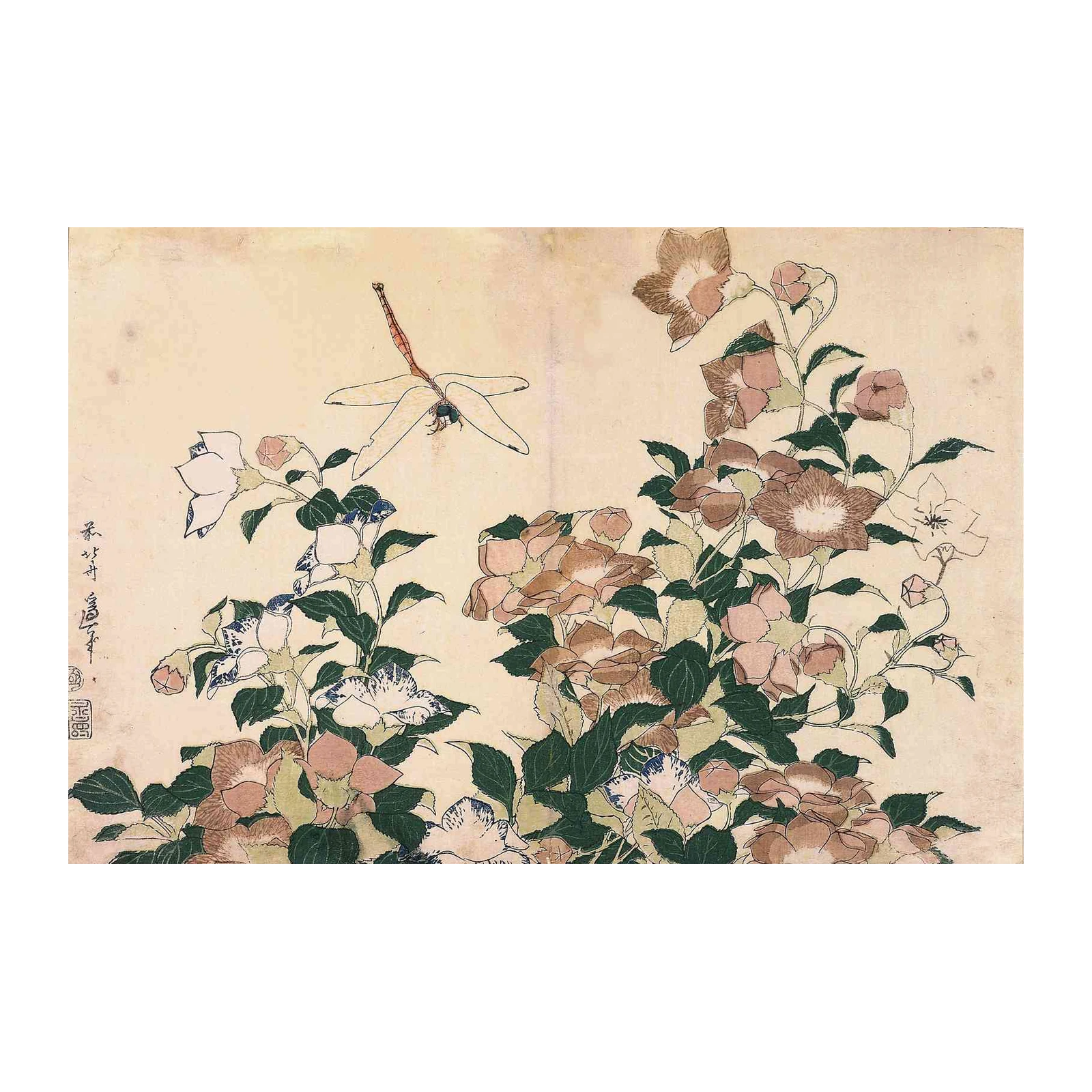 Japanese Camellias & Dragonfly Wall Art