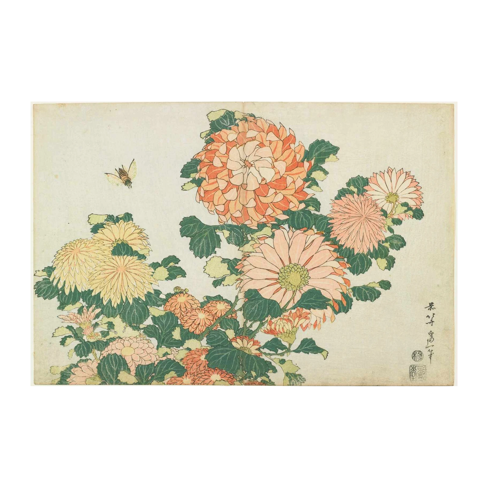 Vibrant Chrysanthemums & Bee Wall Art