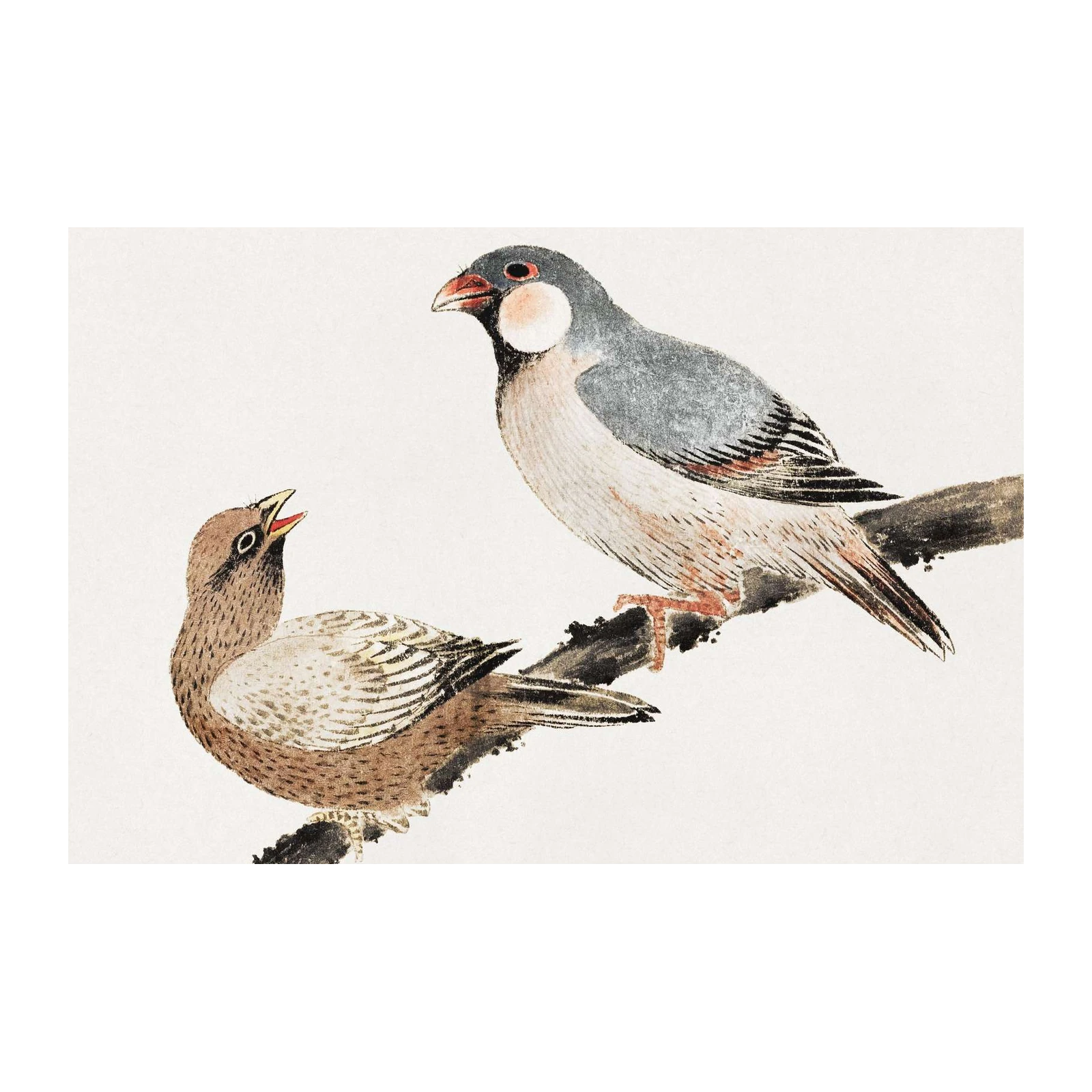 Elegant Finches on Branch Wall Art