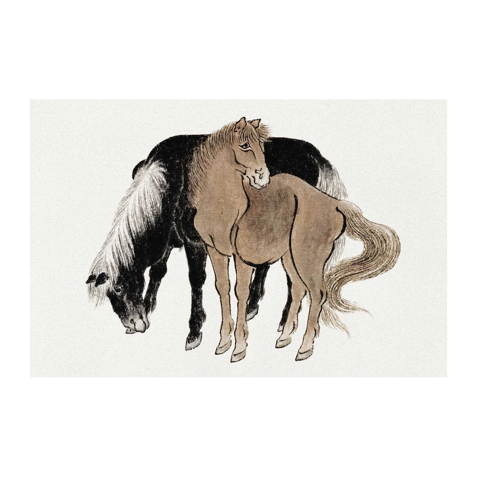 Elegant Horse Pair Fine Art Wall Art