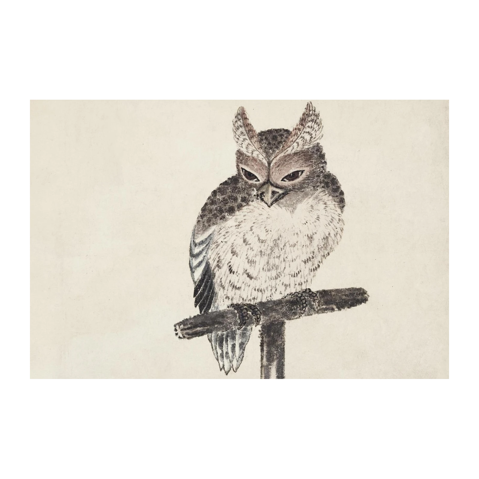 Wise Owl Perched on Branch Wall Art