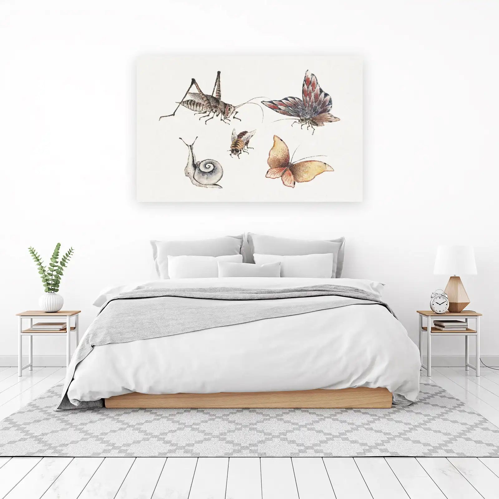 Vintage Insect & Butterfly Nature Art Wall Art