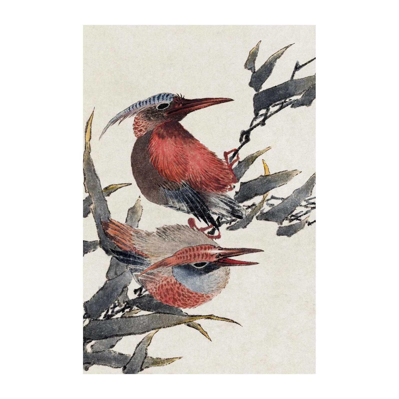 Exotic Birds on Branch Wall Art