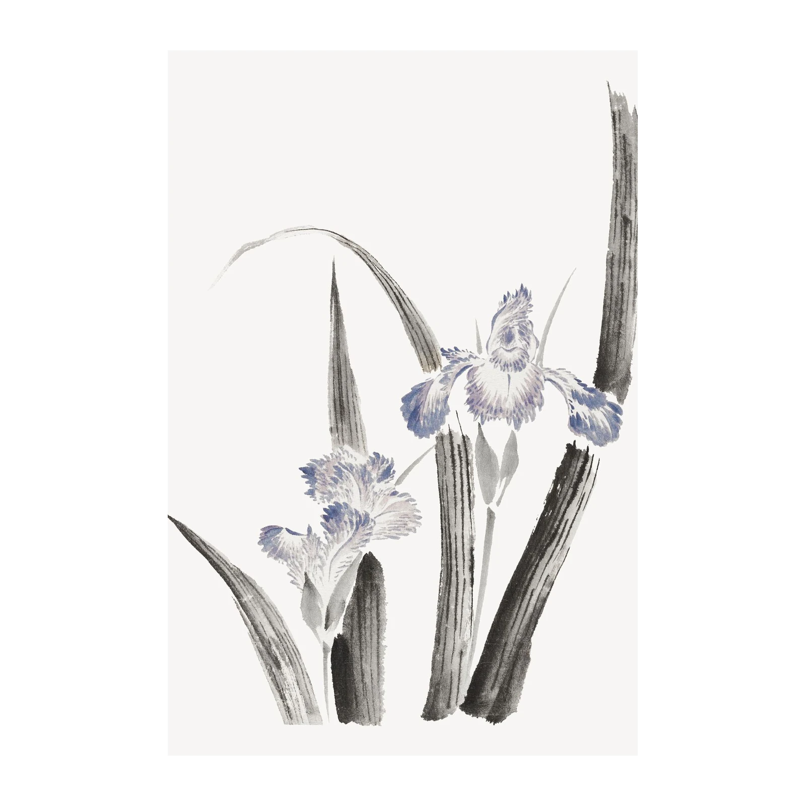 Serene Iris Blossom Wall Art - Zen Art