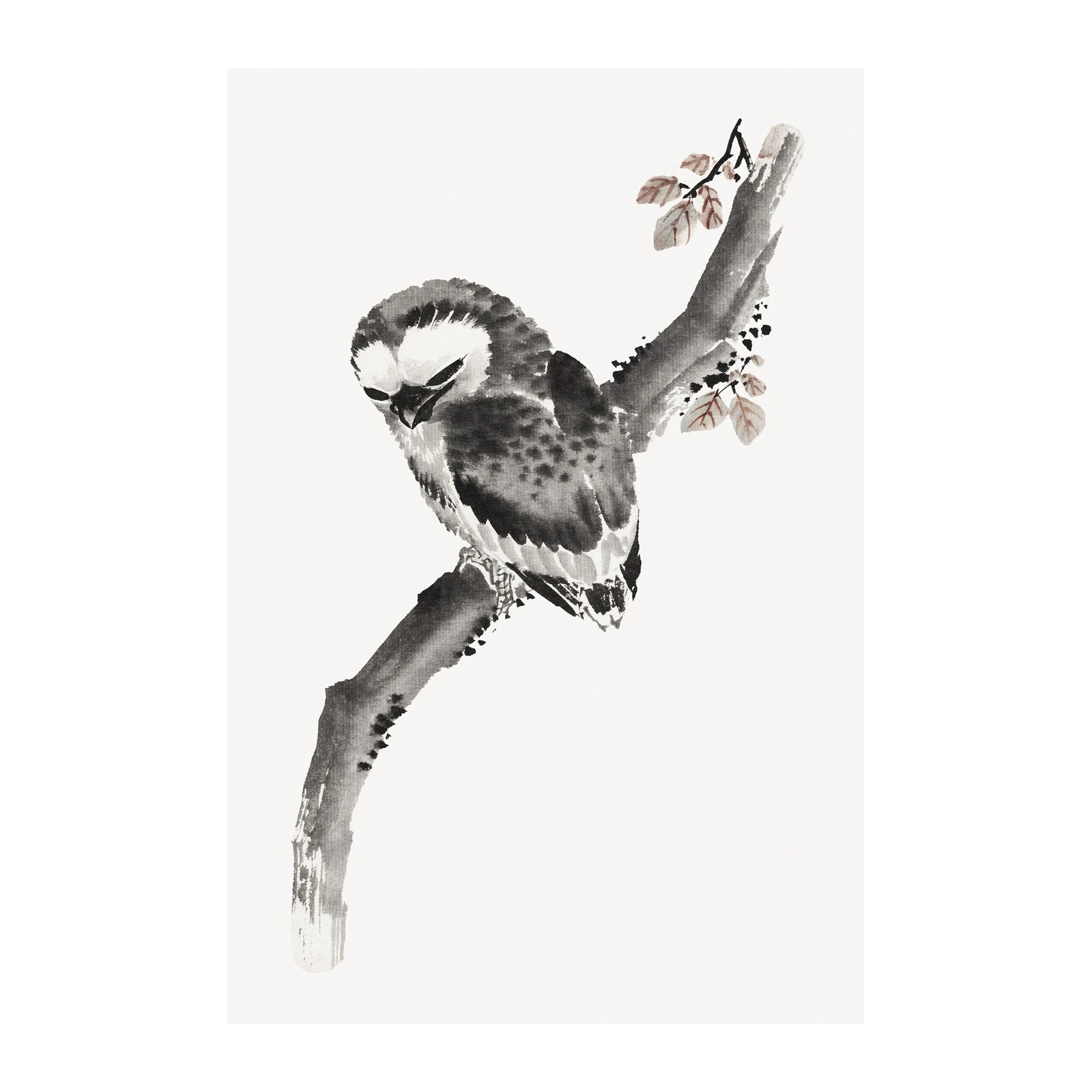 Zen Owl on Branch Wall Art