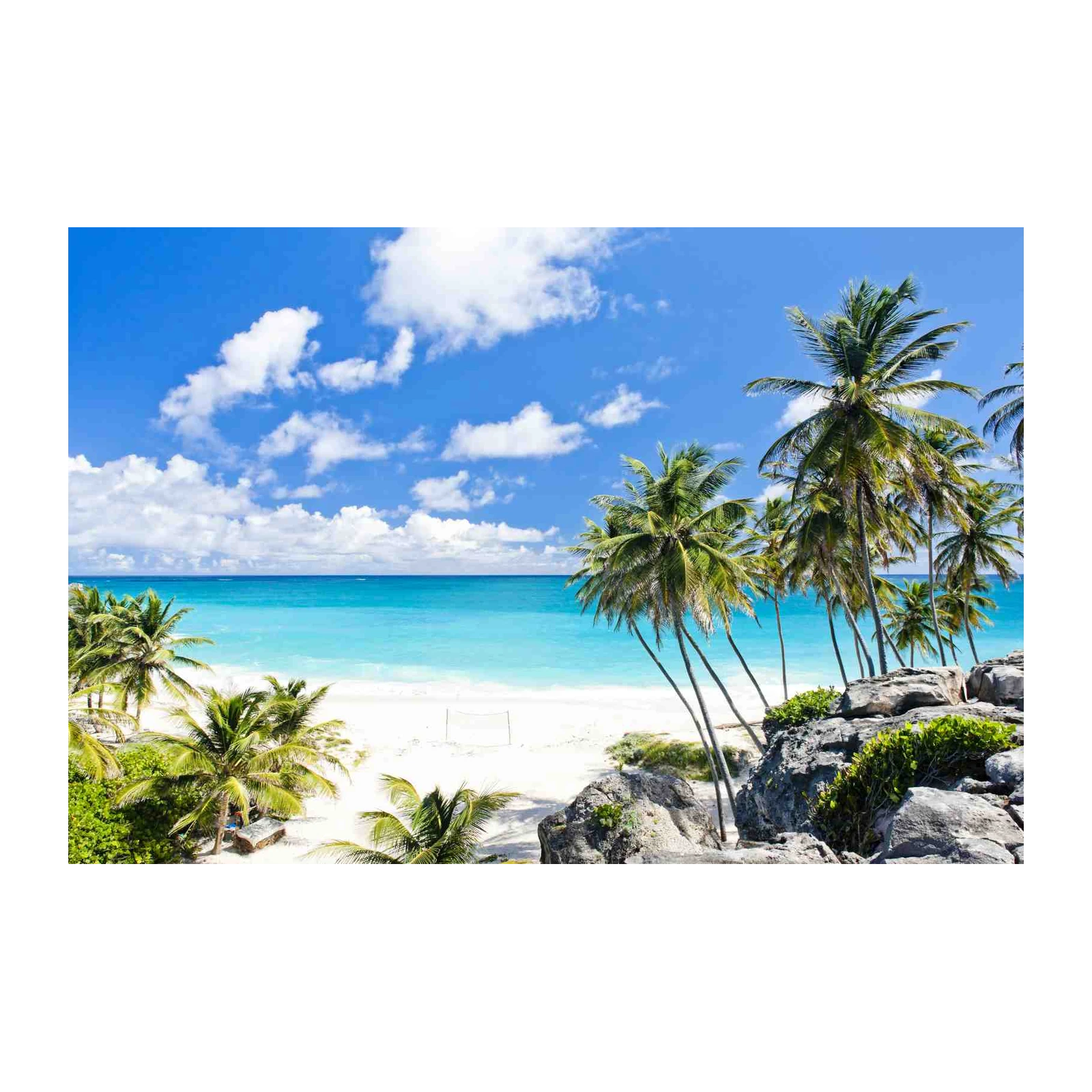 Tropical Paradise Palm Beach Wall Art