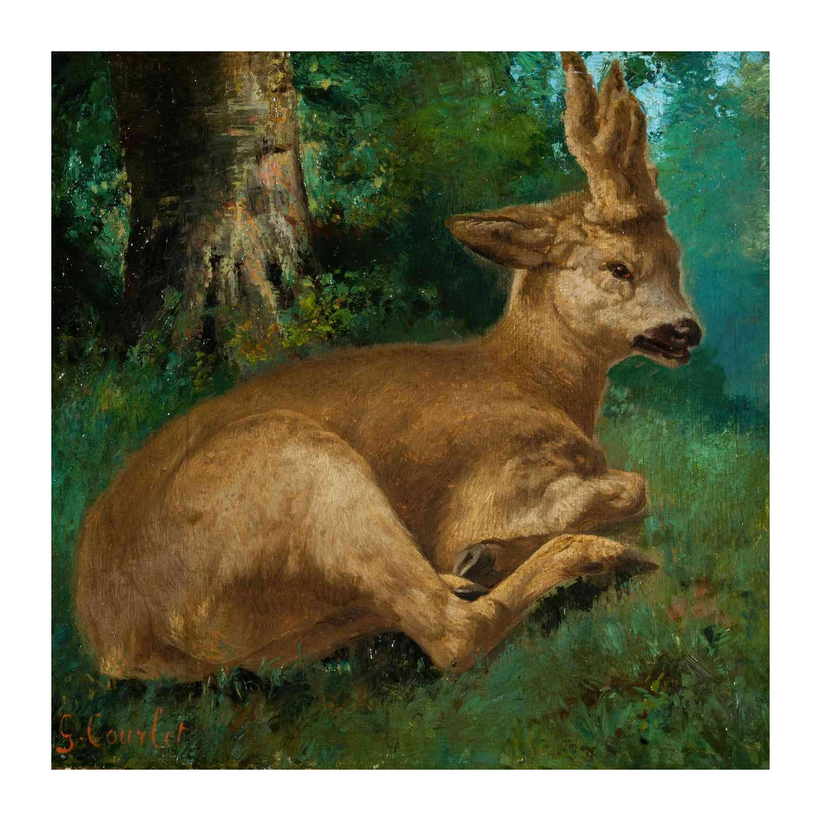 Tranquil Fawn Resting in Forest Wall Art