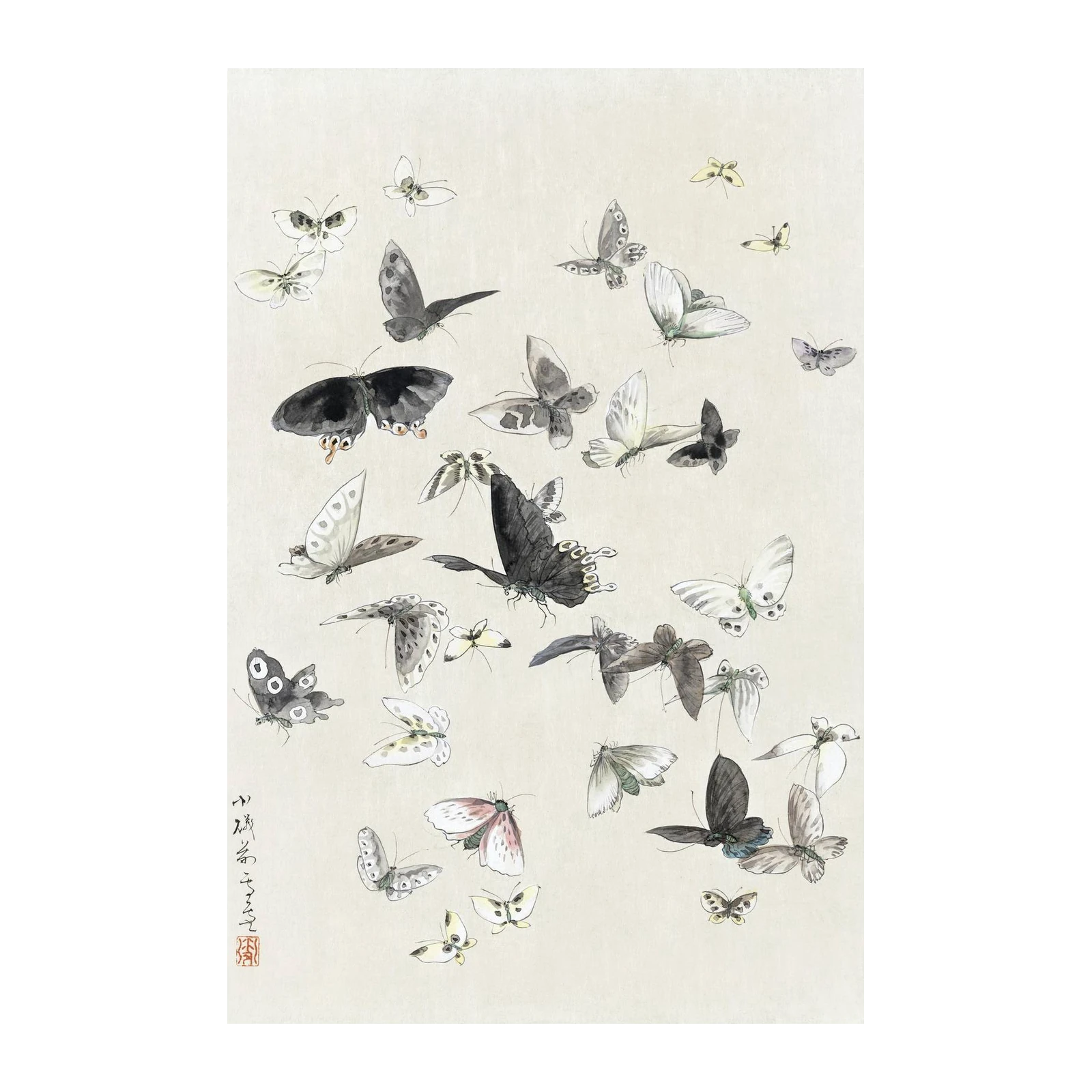 Elegant Butterfly Flock Wall Art Wall Art